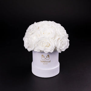 What Is the Meaning of a White Rose?