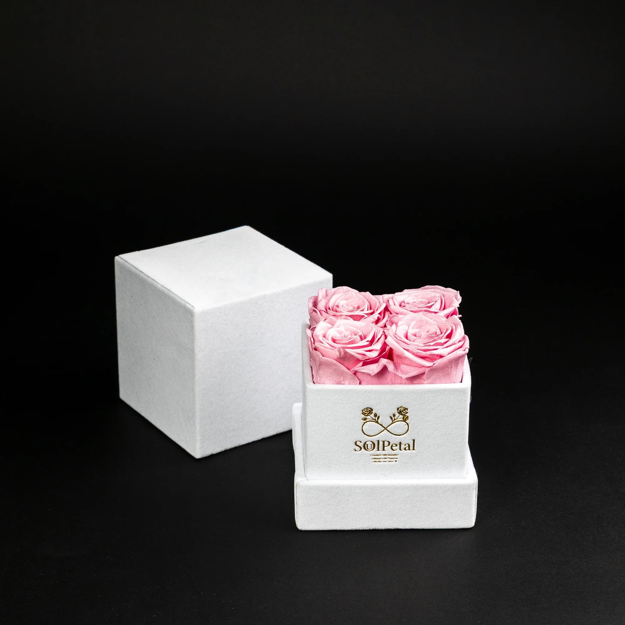 Eternal Roses - Petit Square