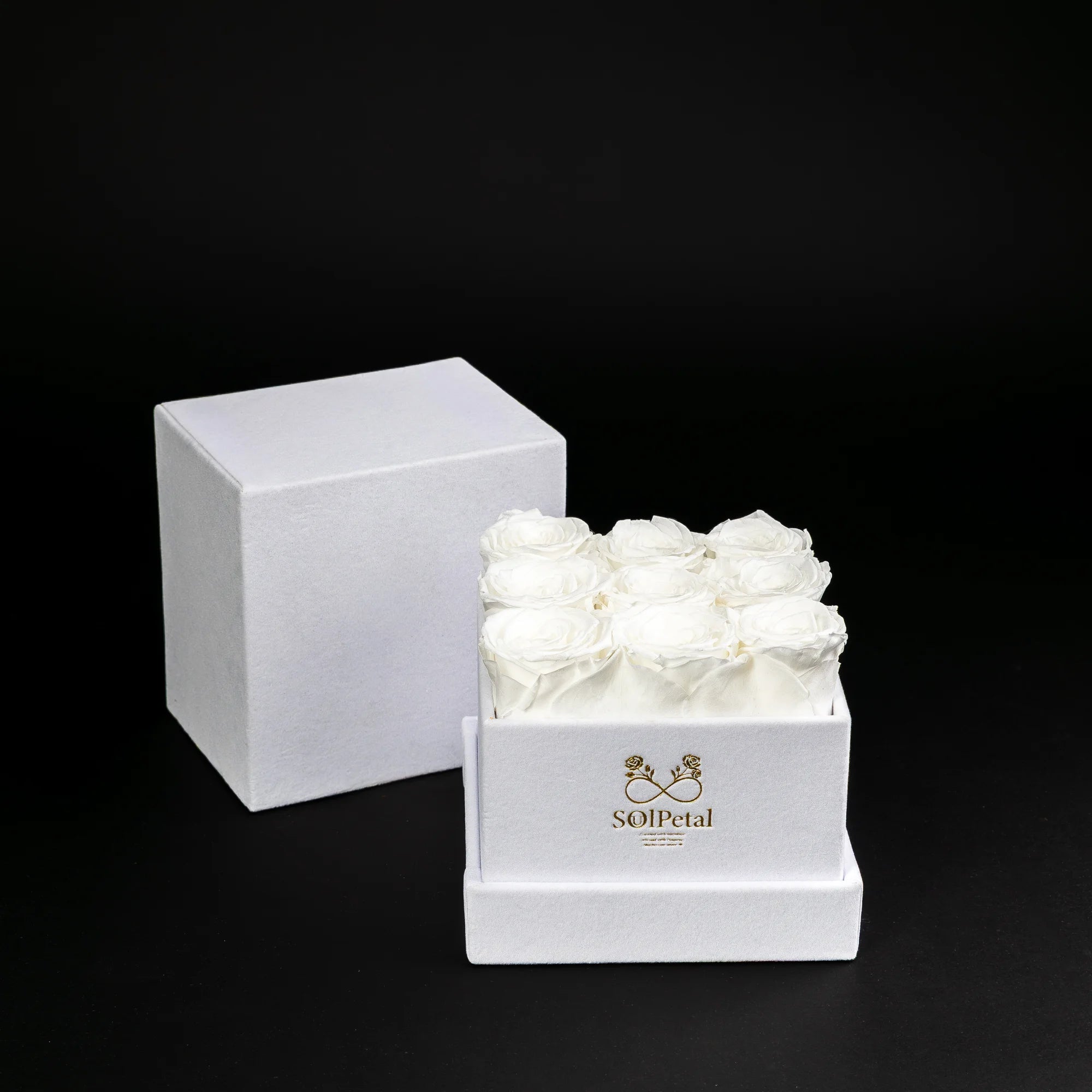 Eternal Roses - Small Square
