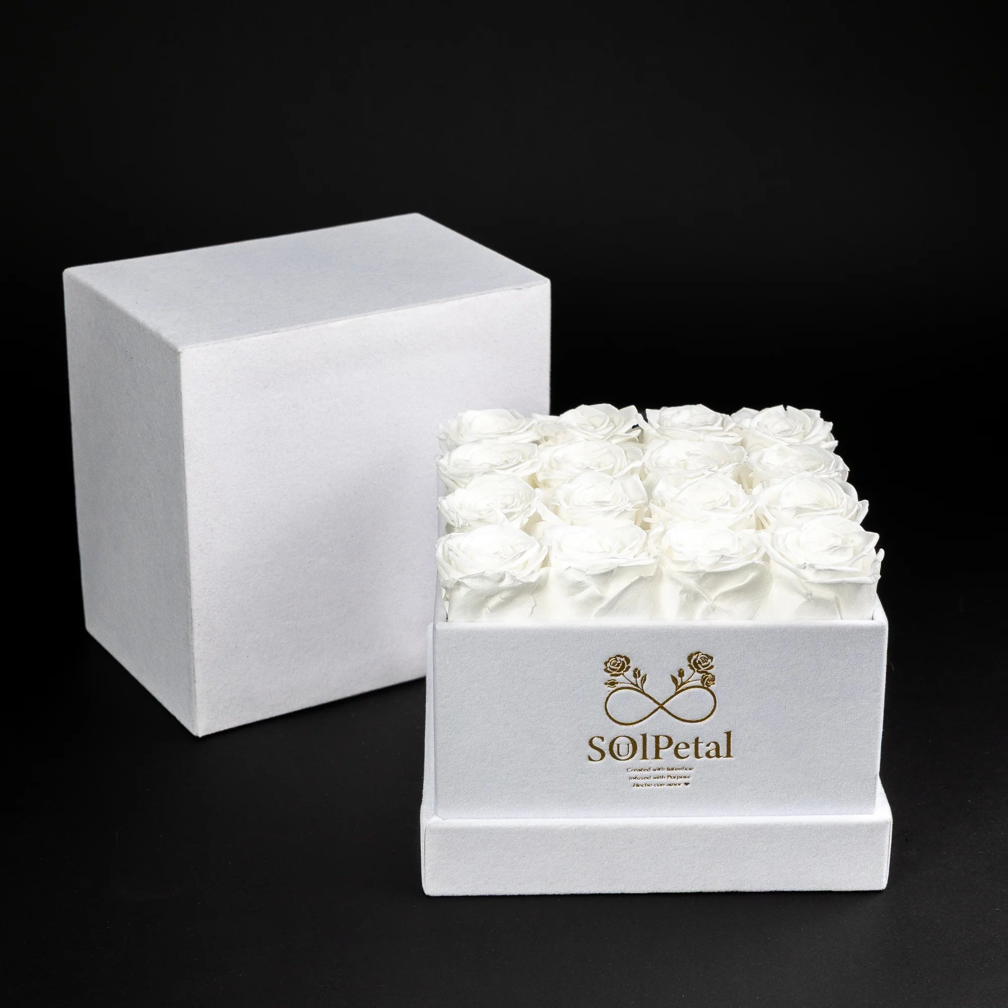 Eternal Roses -  Medium Square