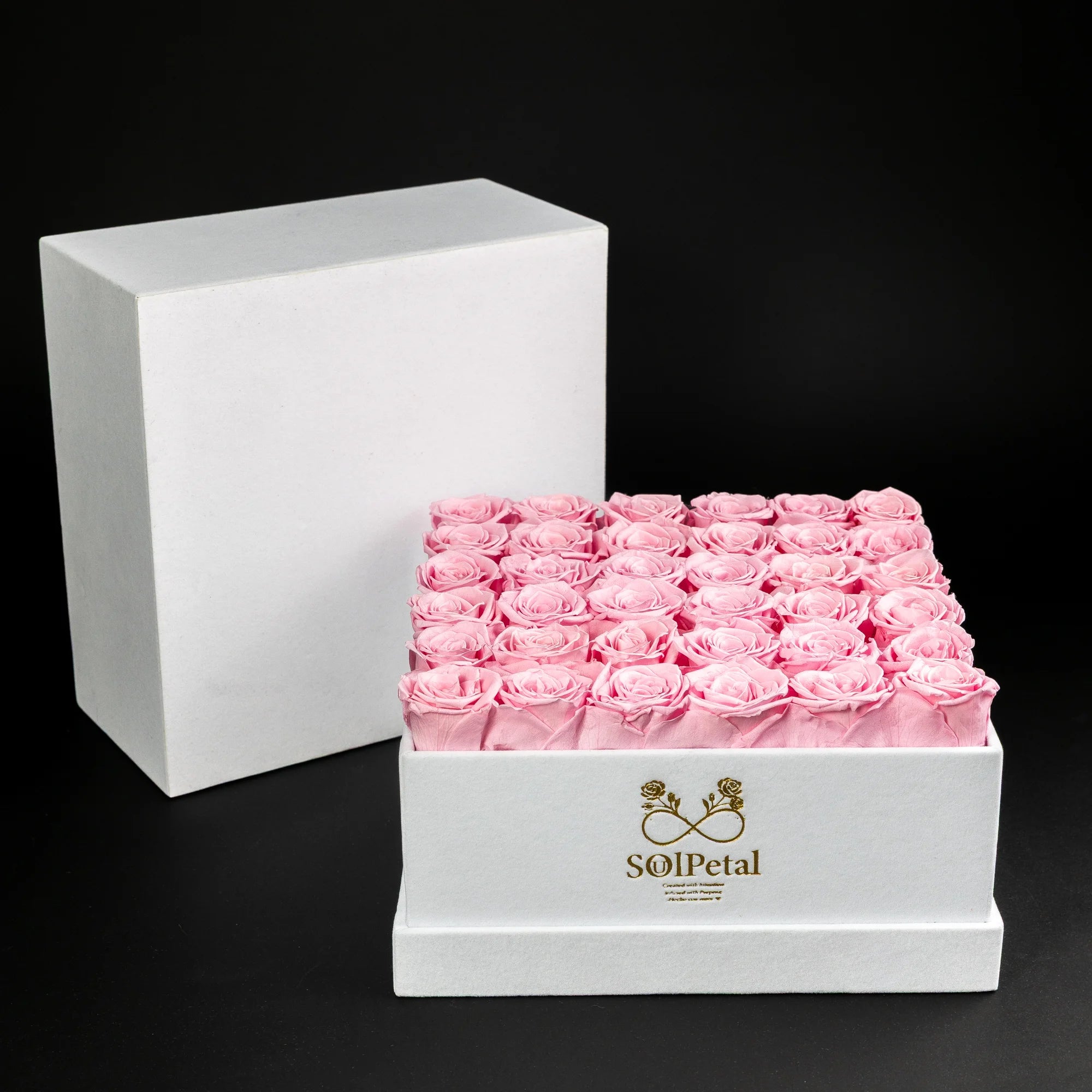 Eternal Roses - Extra Large Square