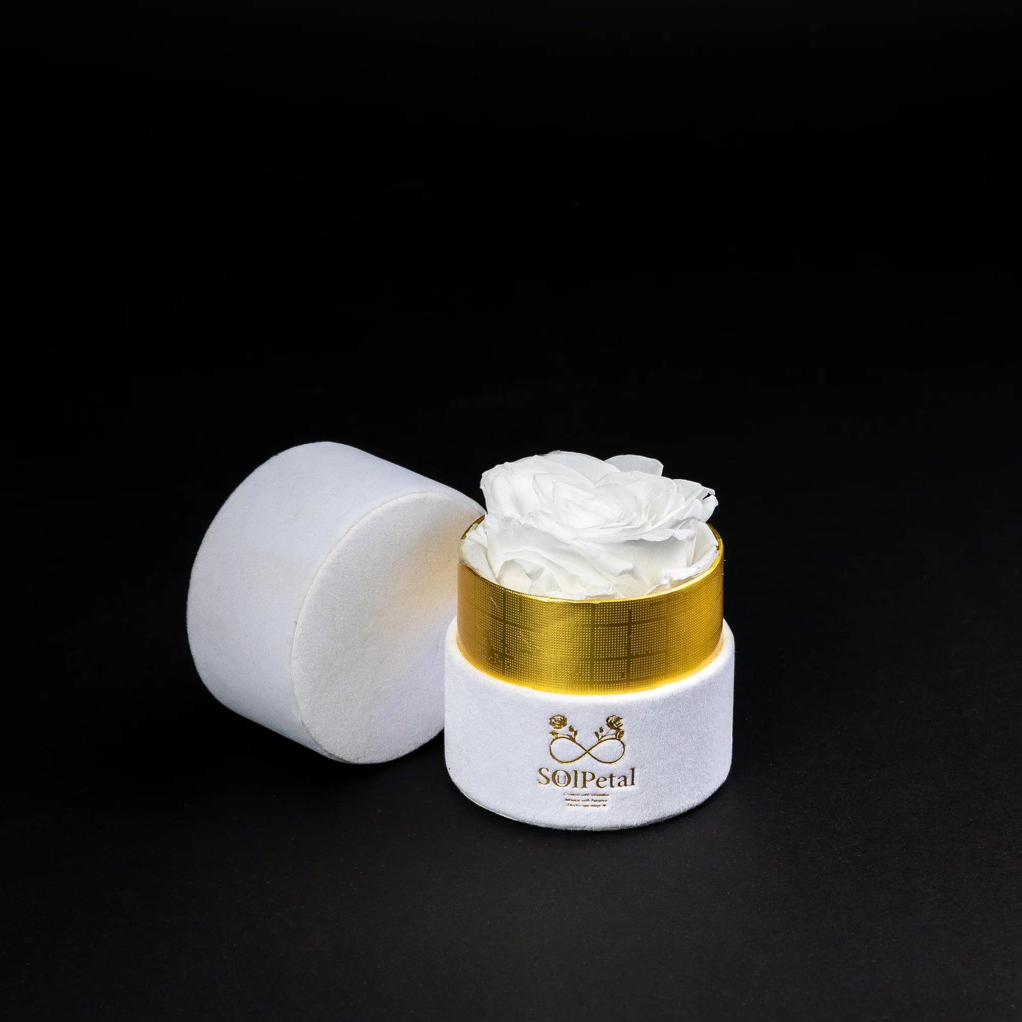 Eternal Roses - Petit Round