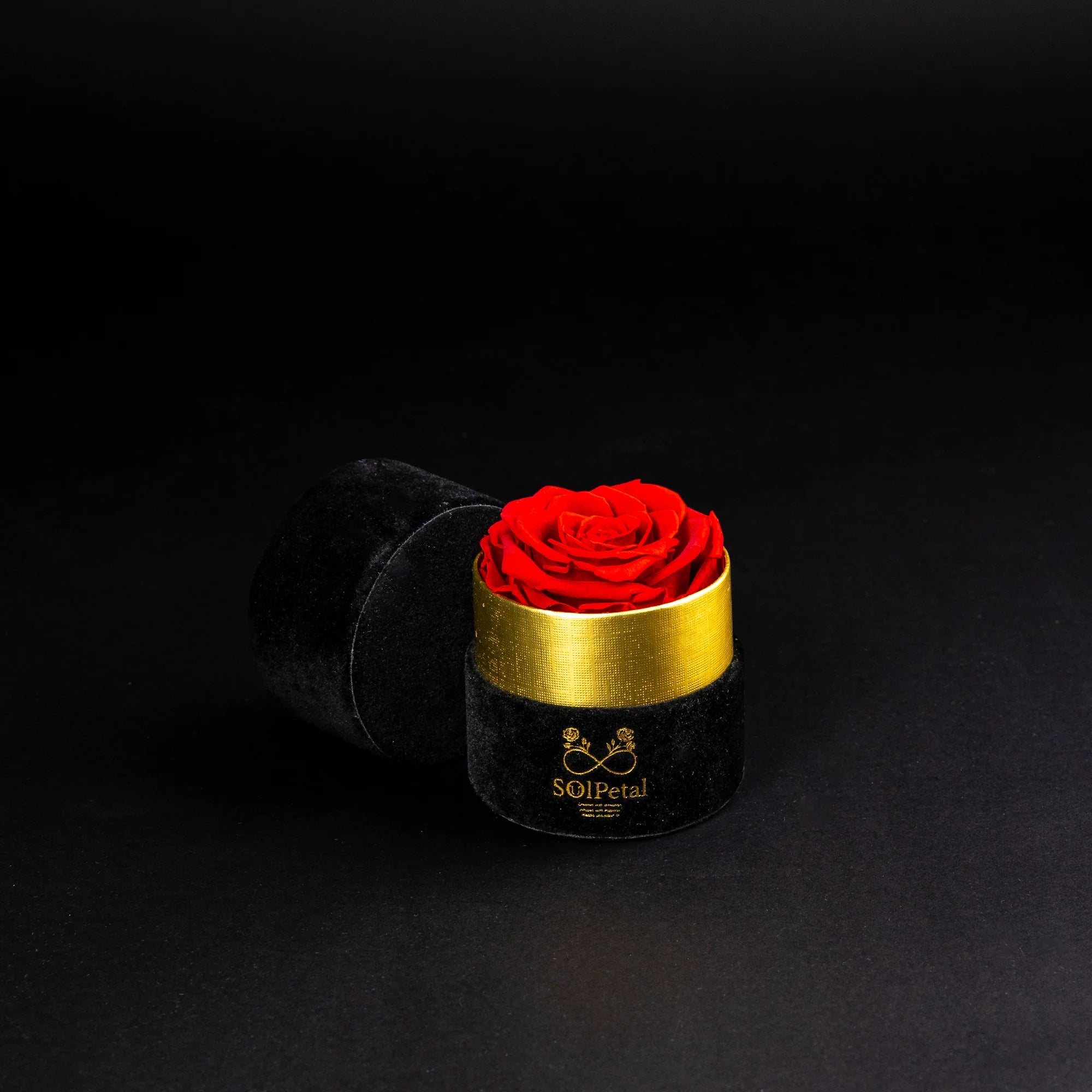 Eternal Roses - Petit Round