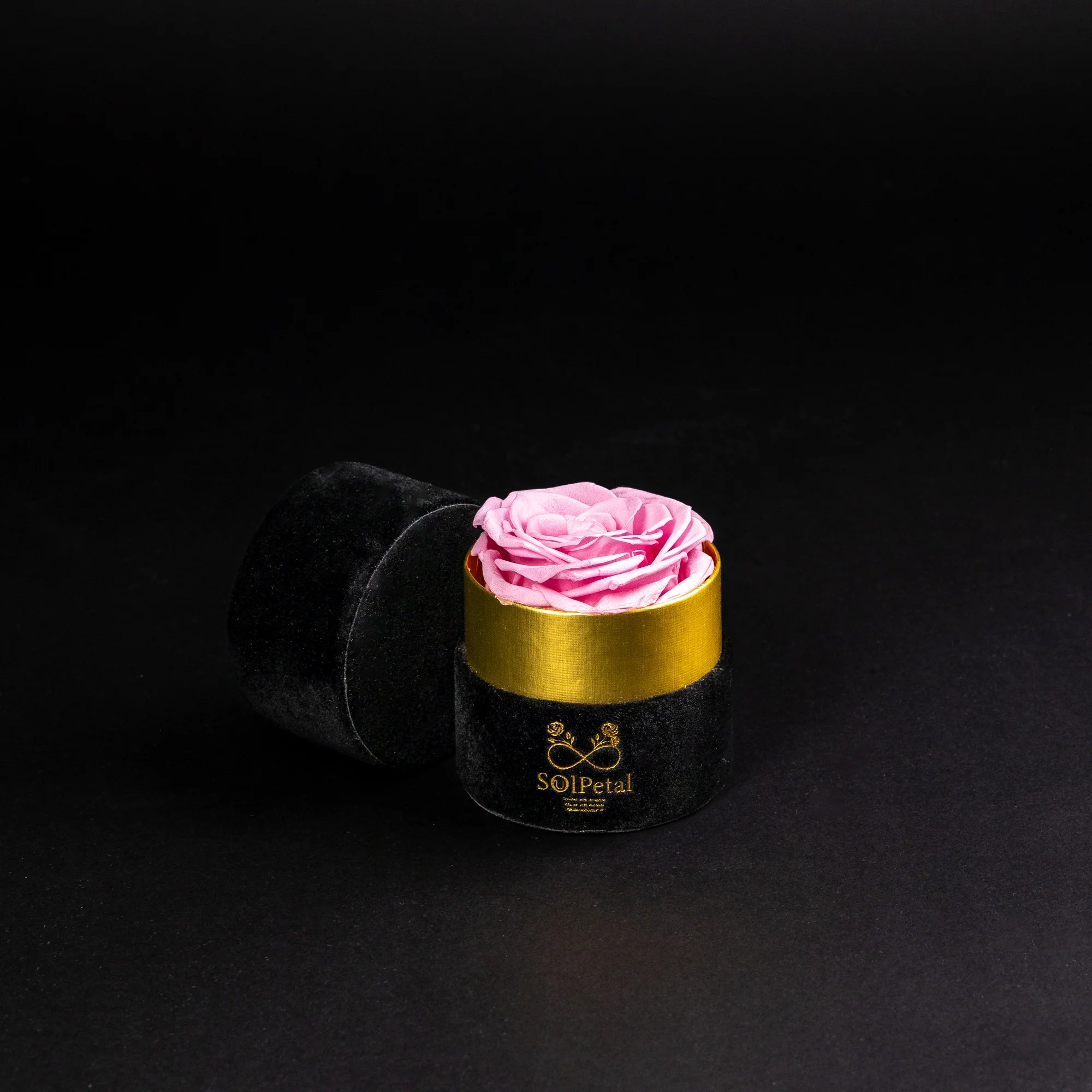 Eternal Roses - Petit Round