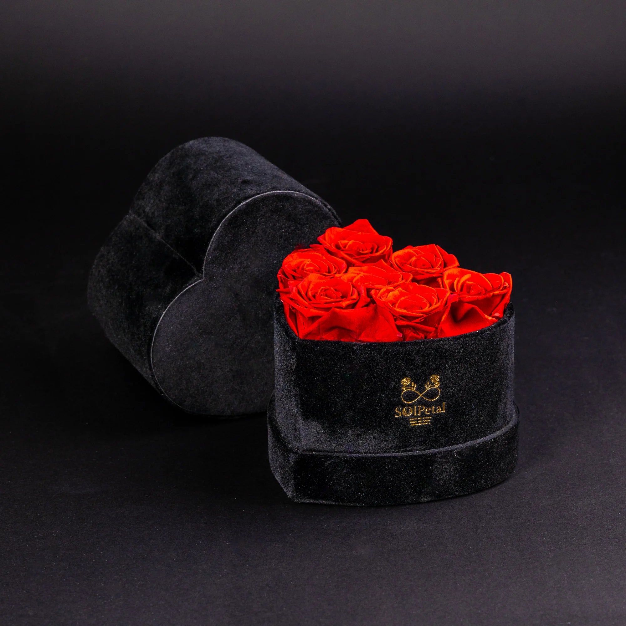 Eternal Roses - Petit Heart