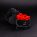 Eternal Roses - Petit Heart