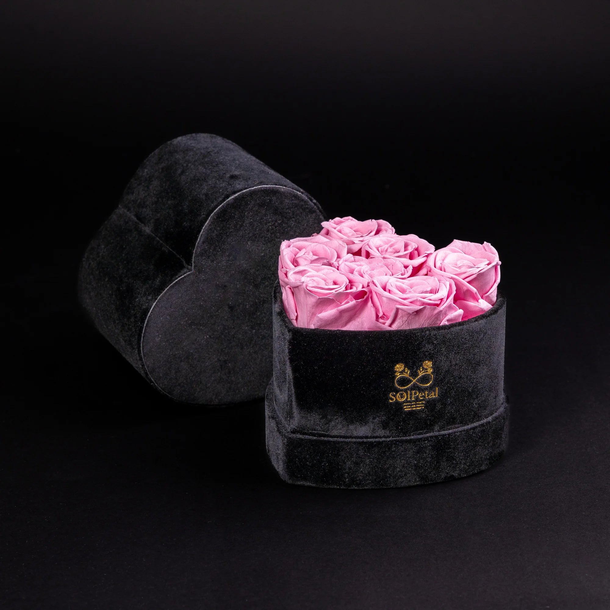 Eternal Roses - Petit Heart