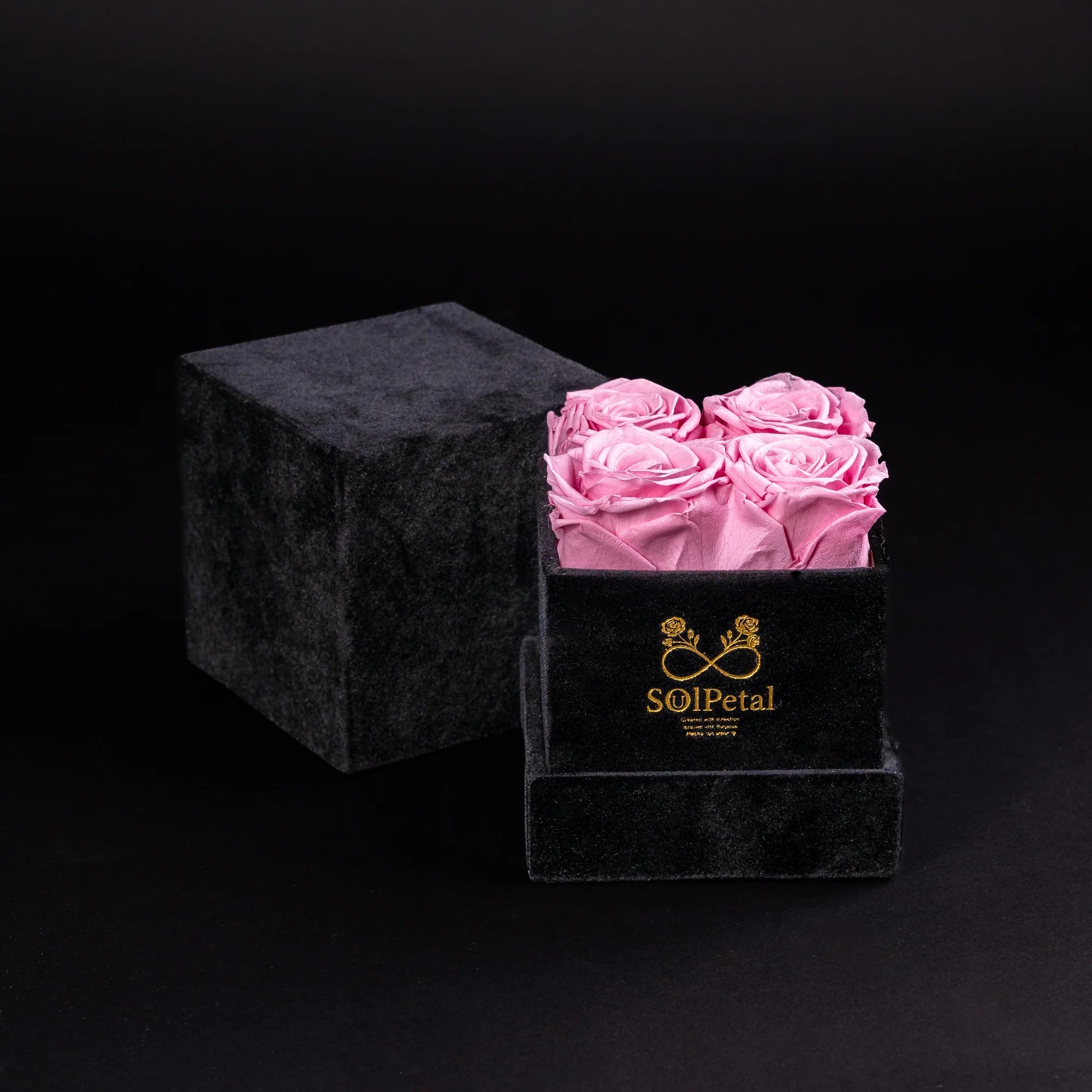 Eternal Roses - Petit Square