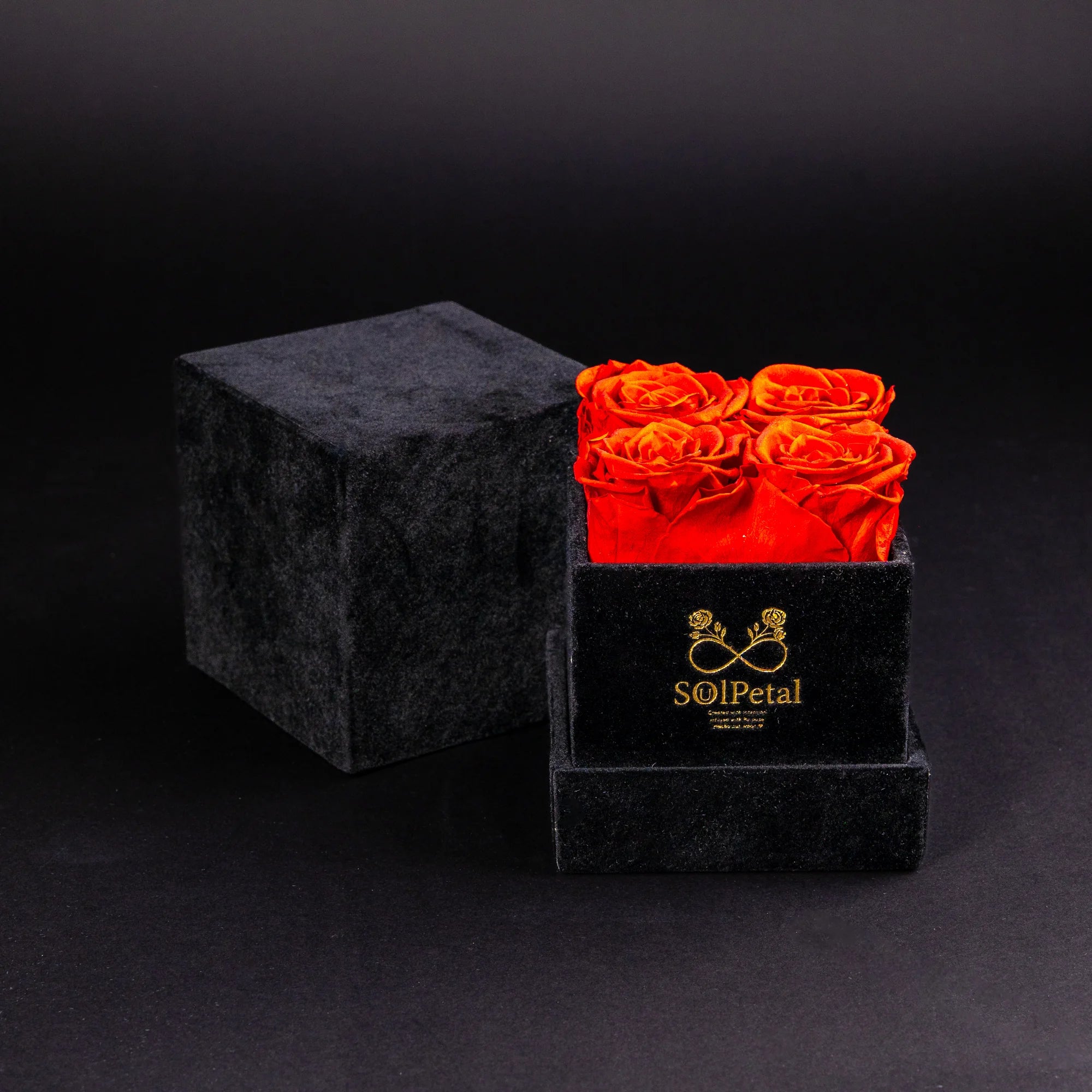 Eternal Roses - Petit Square