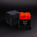 Eternal Roses - Petit Square