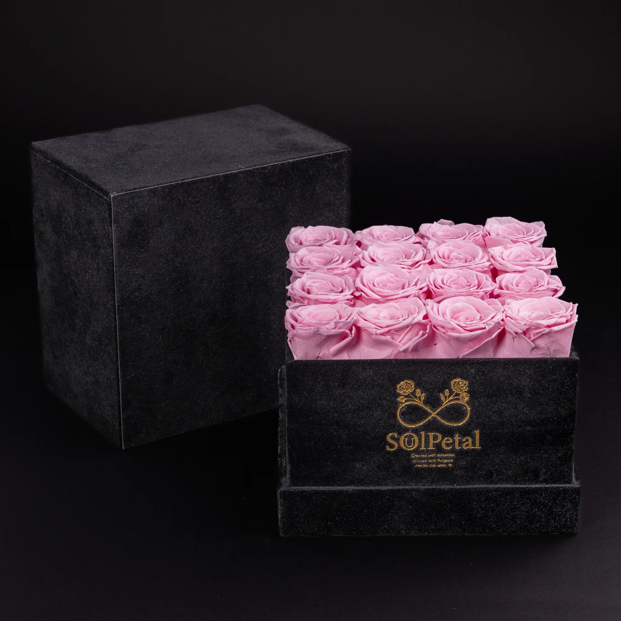 Eternal Roses -  Medium Square