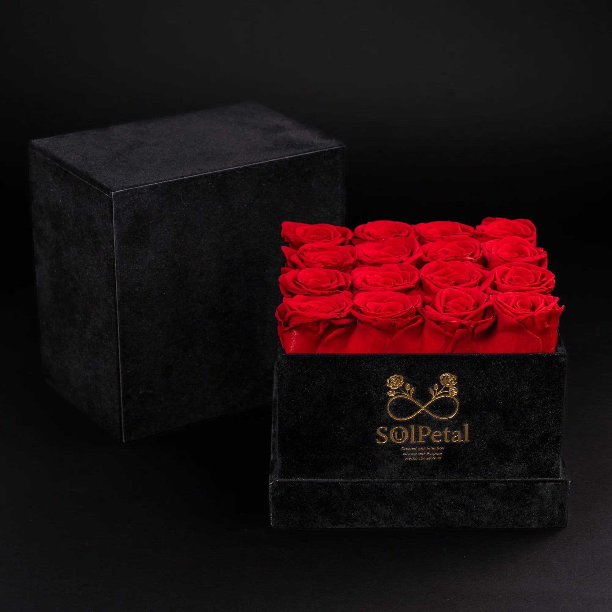 Eternal Roses -  Medium Square