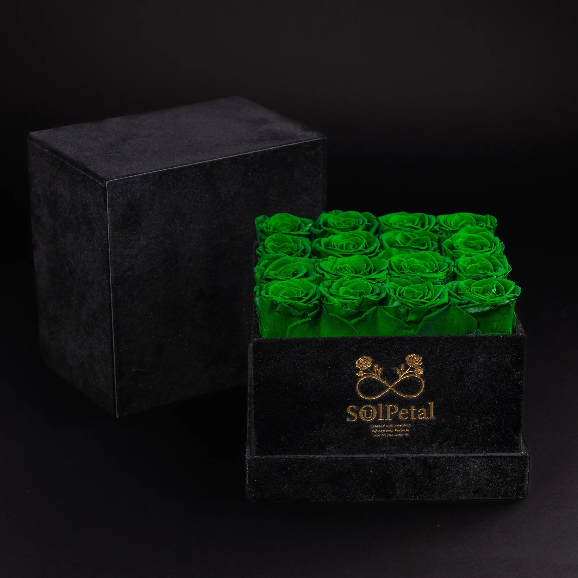 Eternal Roses -  Medium Square