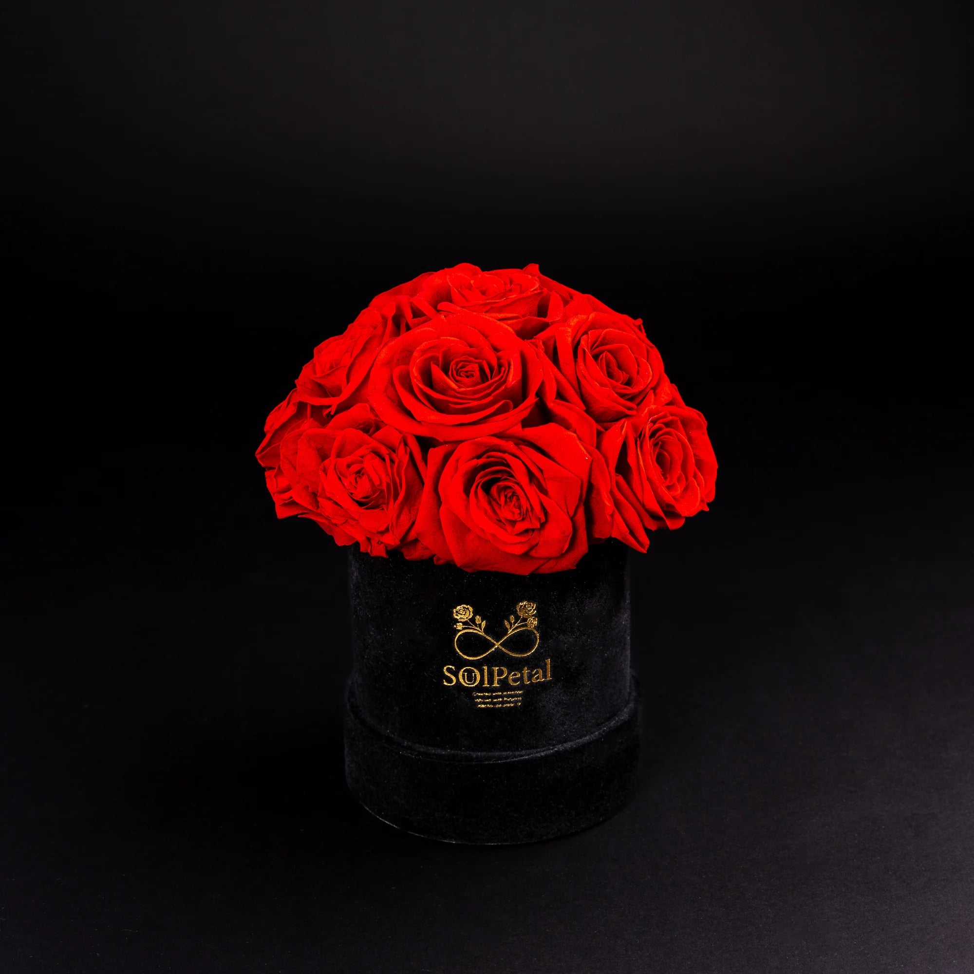 Eternal Roses - Petit Dome