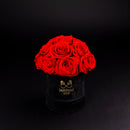 Eternal Roses - Petit Dome