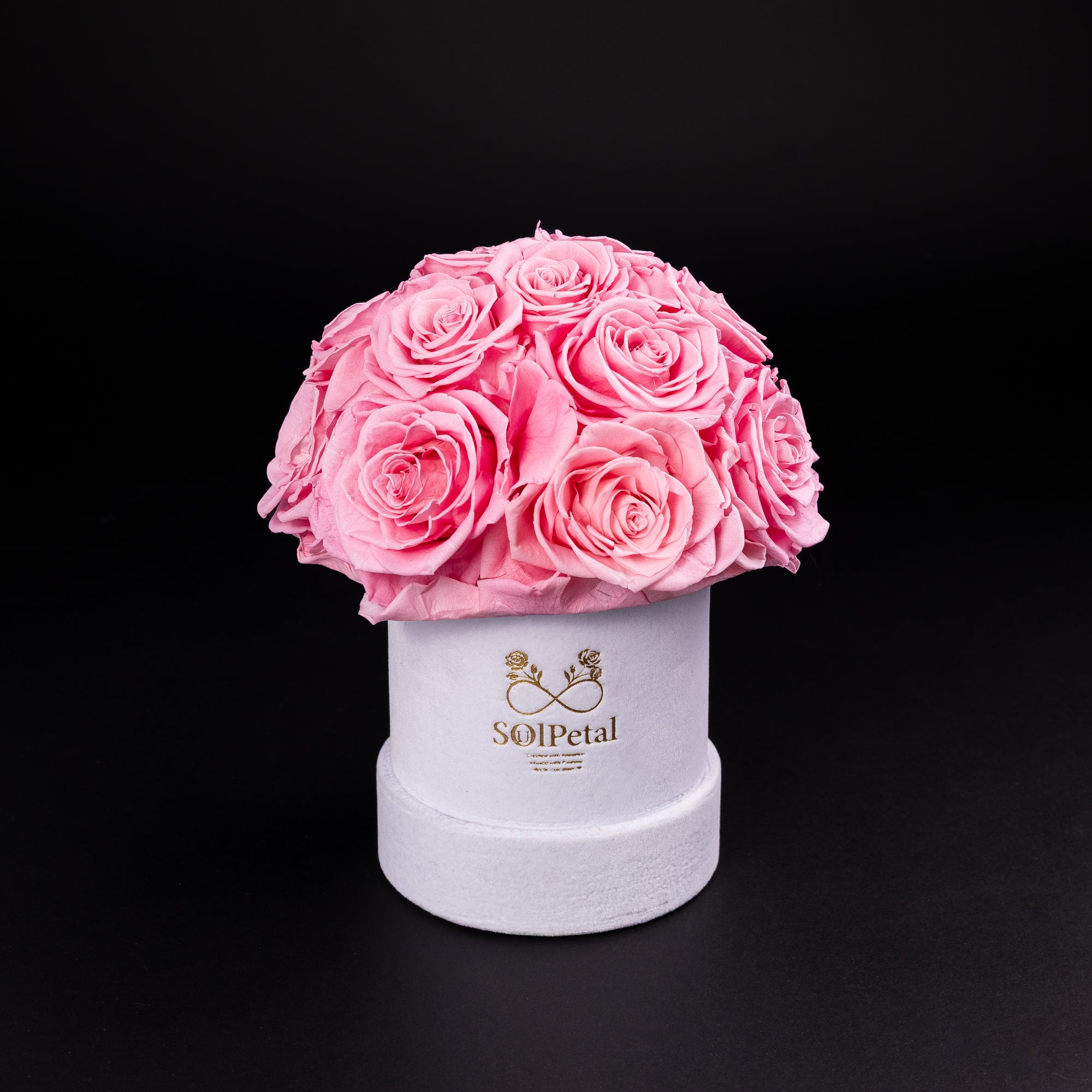 Eternal Roses - Petit Dome