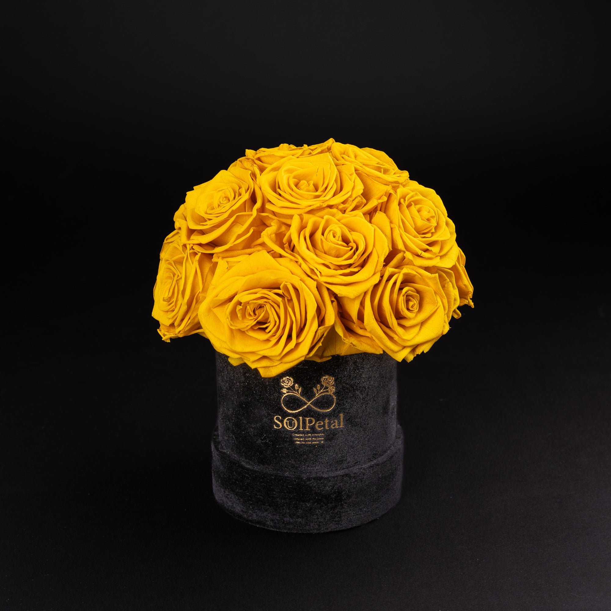 Eternal Roses - Petit Dome