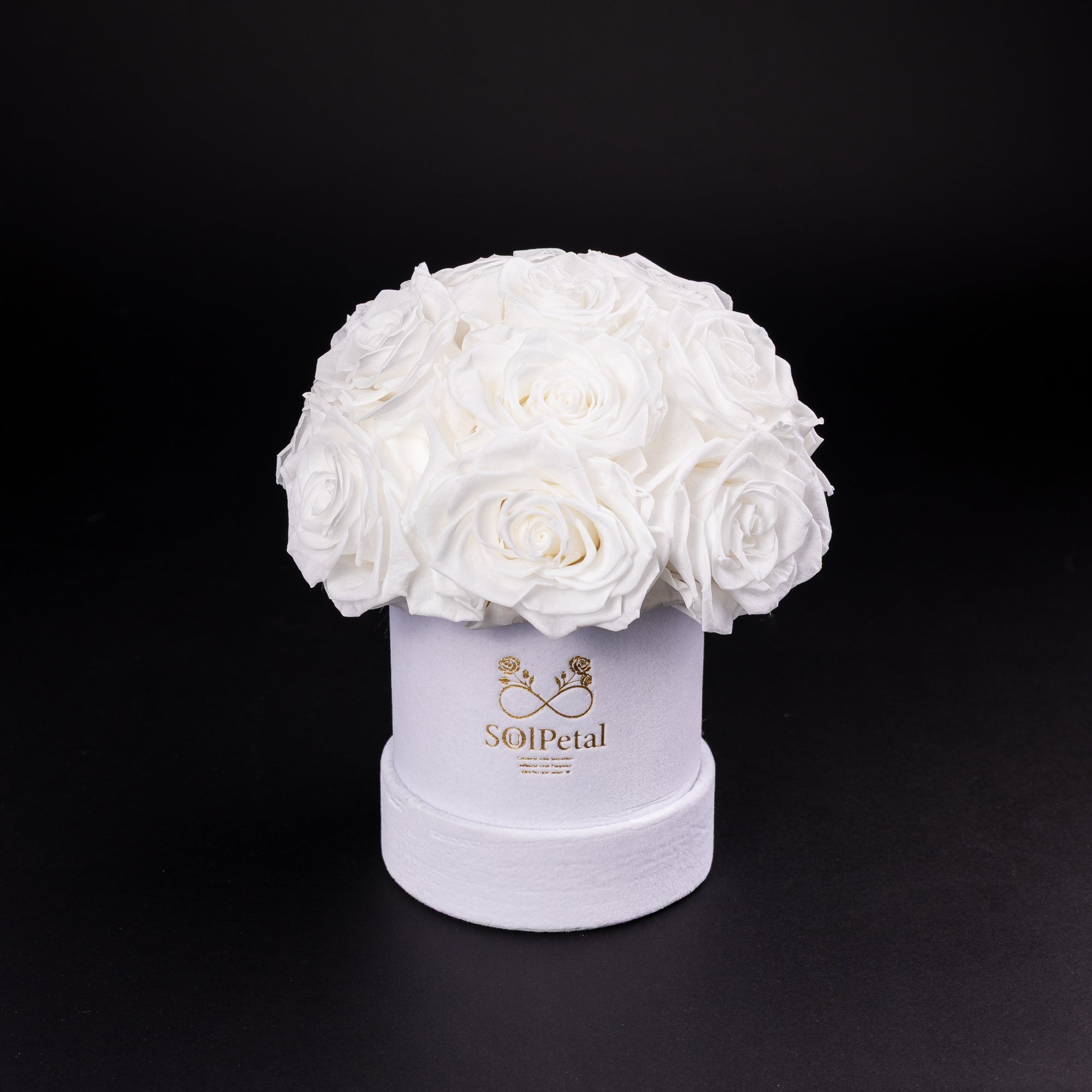 Eternal Roses - Petit Dome