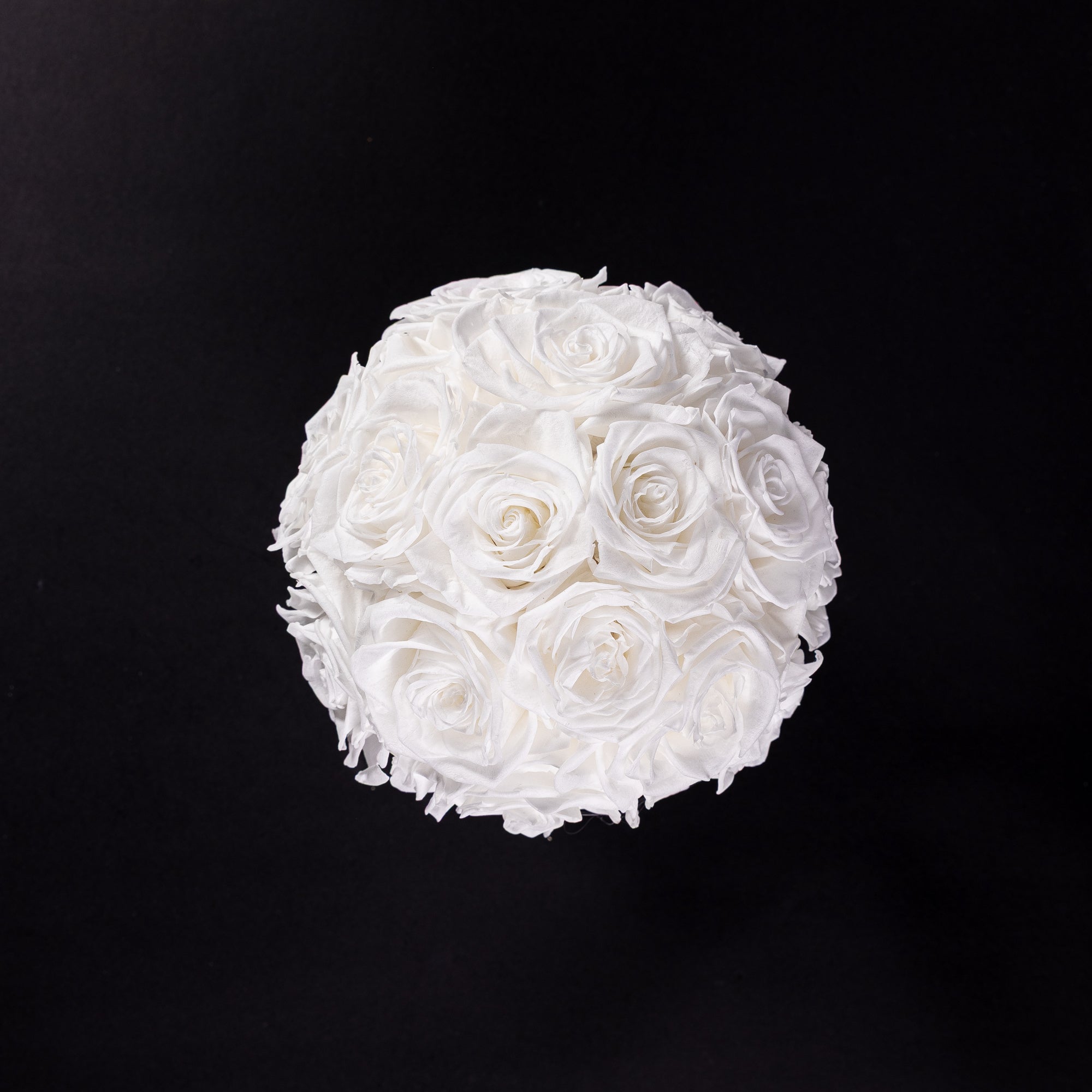 Eternal Roses - Petit Dome