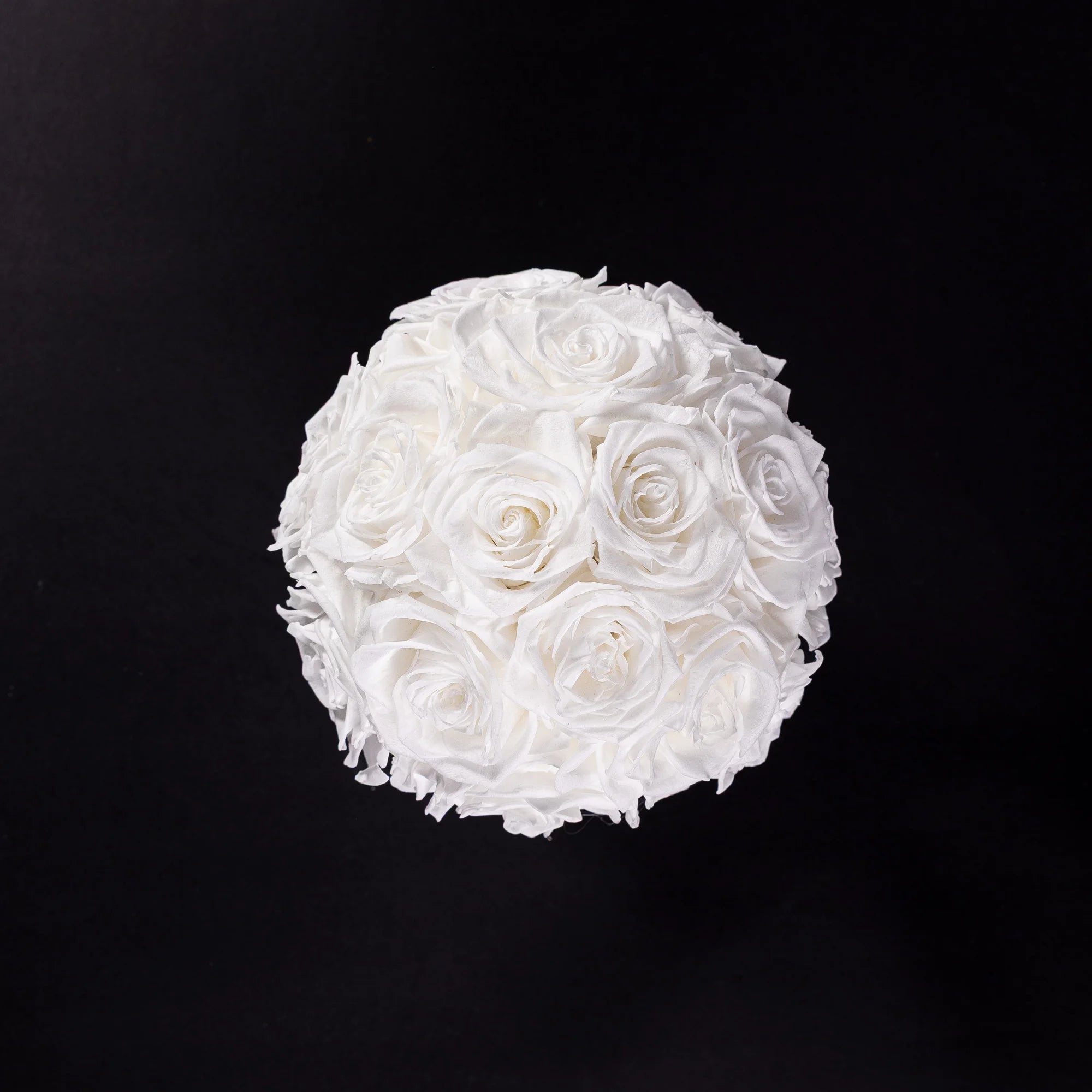 Eternal Roses - Medium Dome