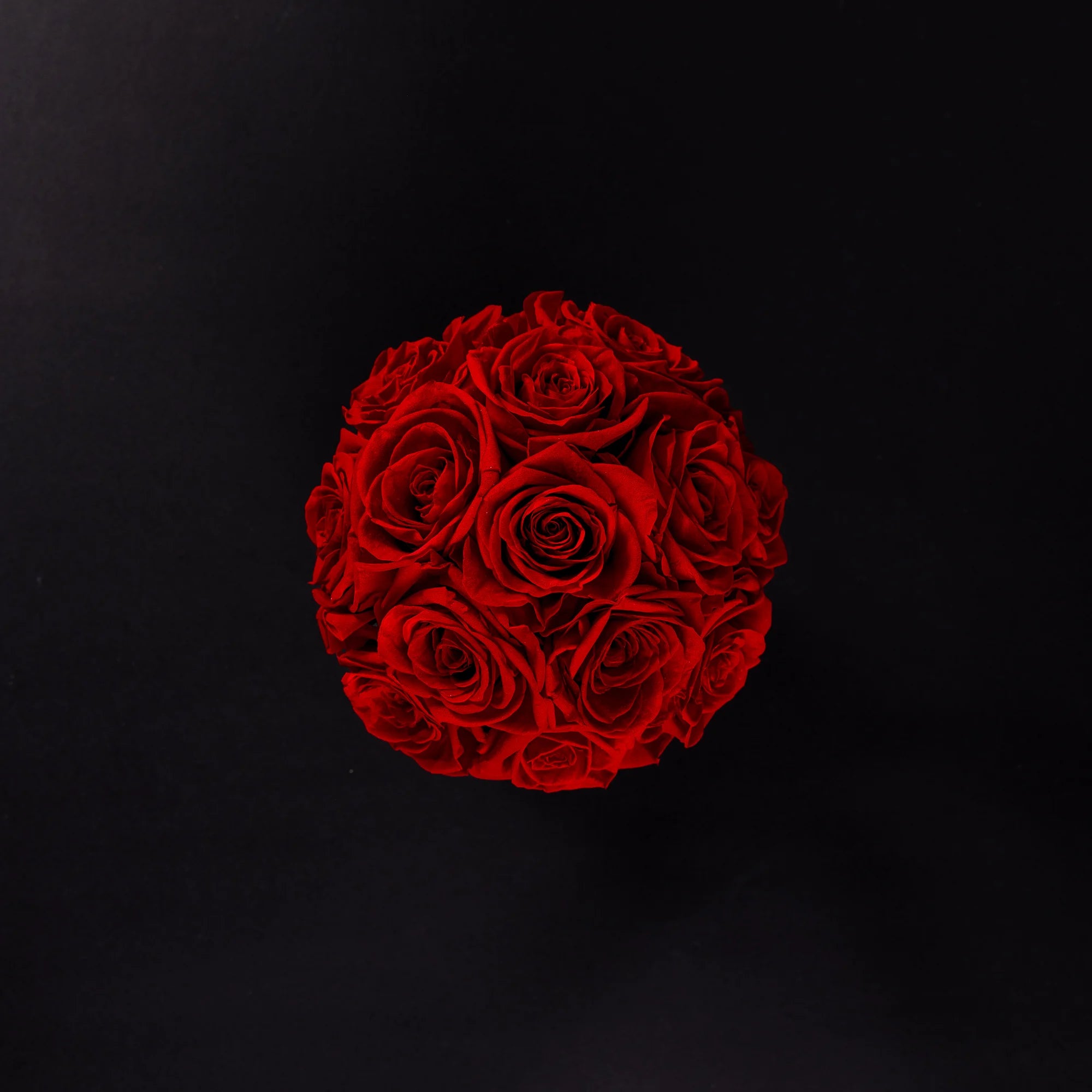 Eternal Roses - Petit Dome