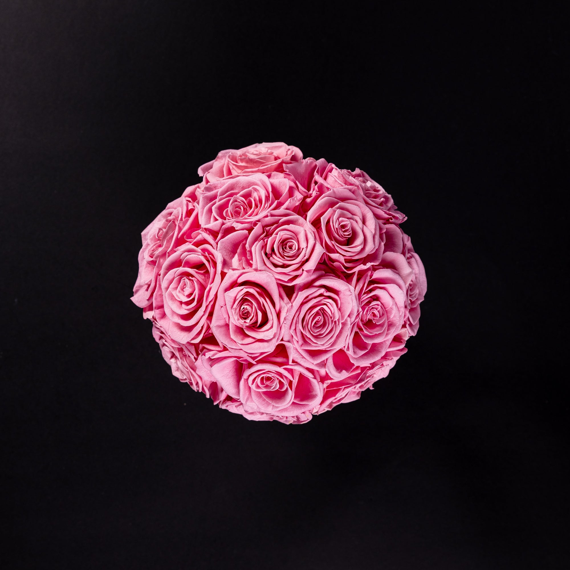 Eternal Roses - Petit Dome