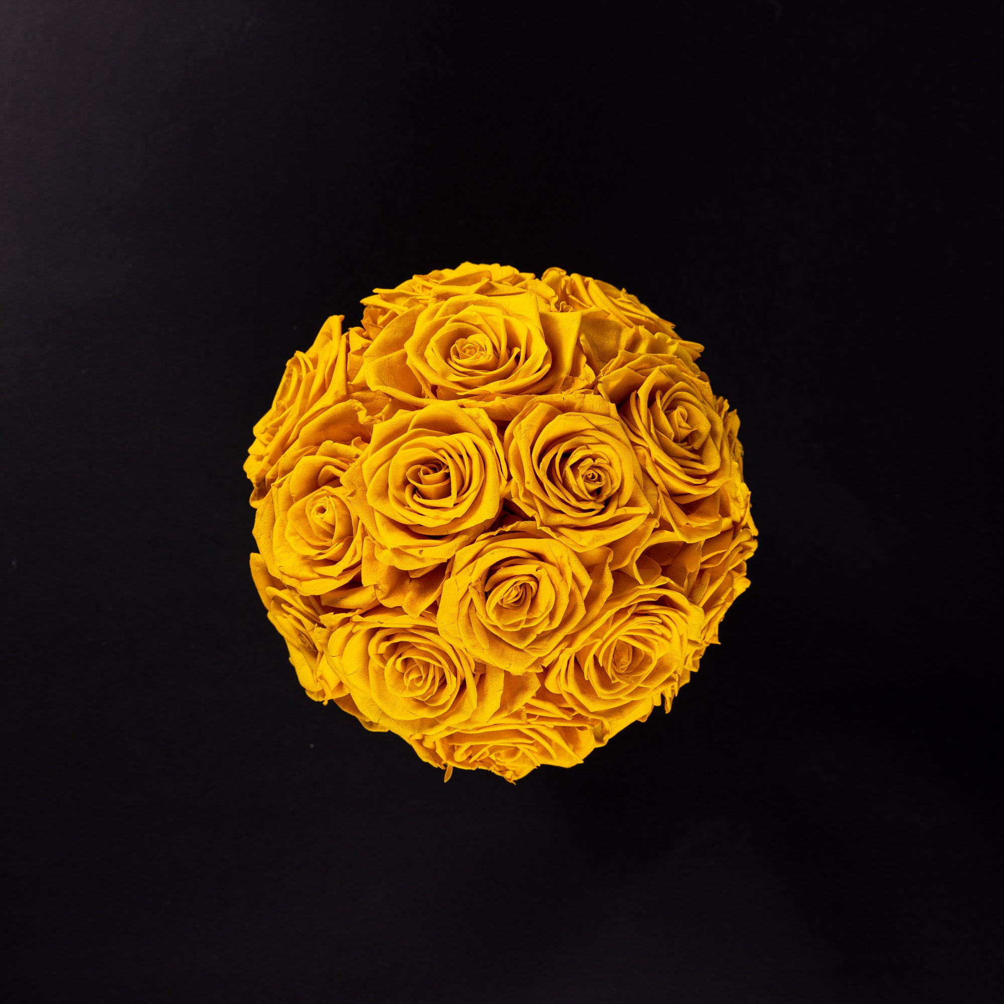 Eternal Roses - Petit Dome