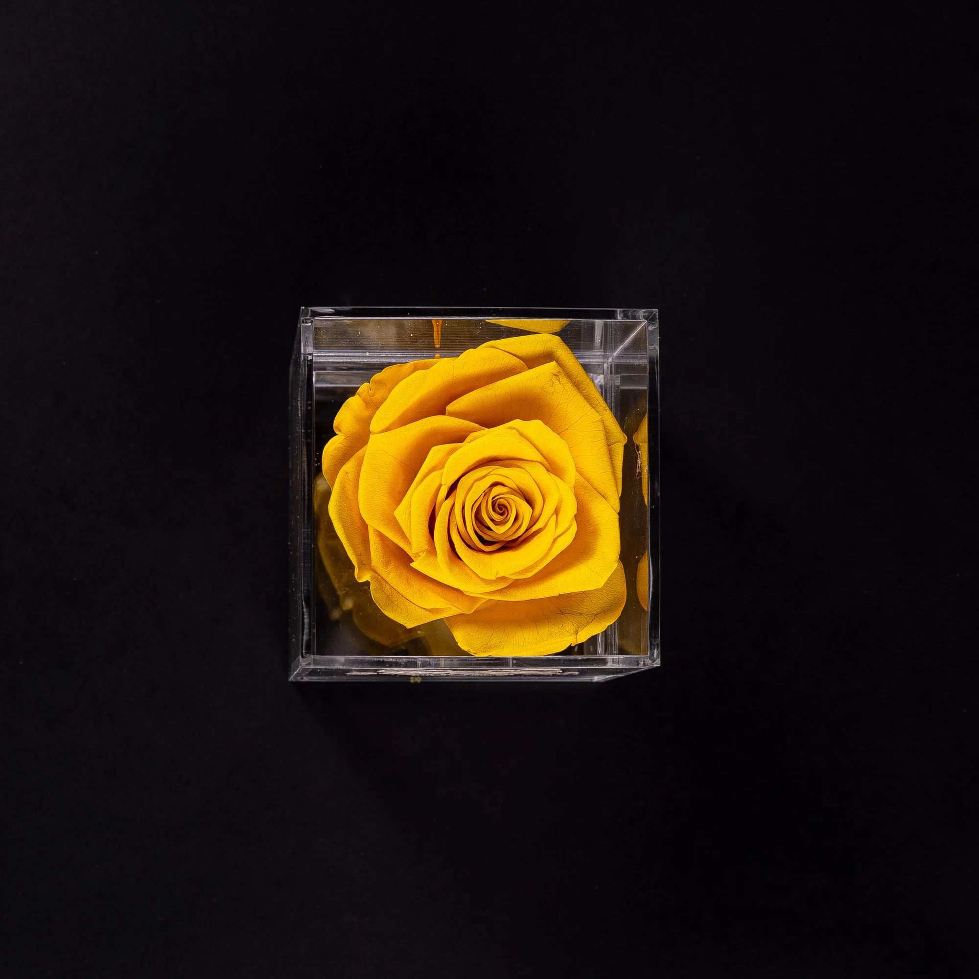 Acrylic Single Rose Box