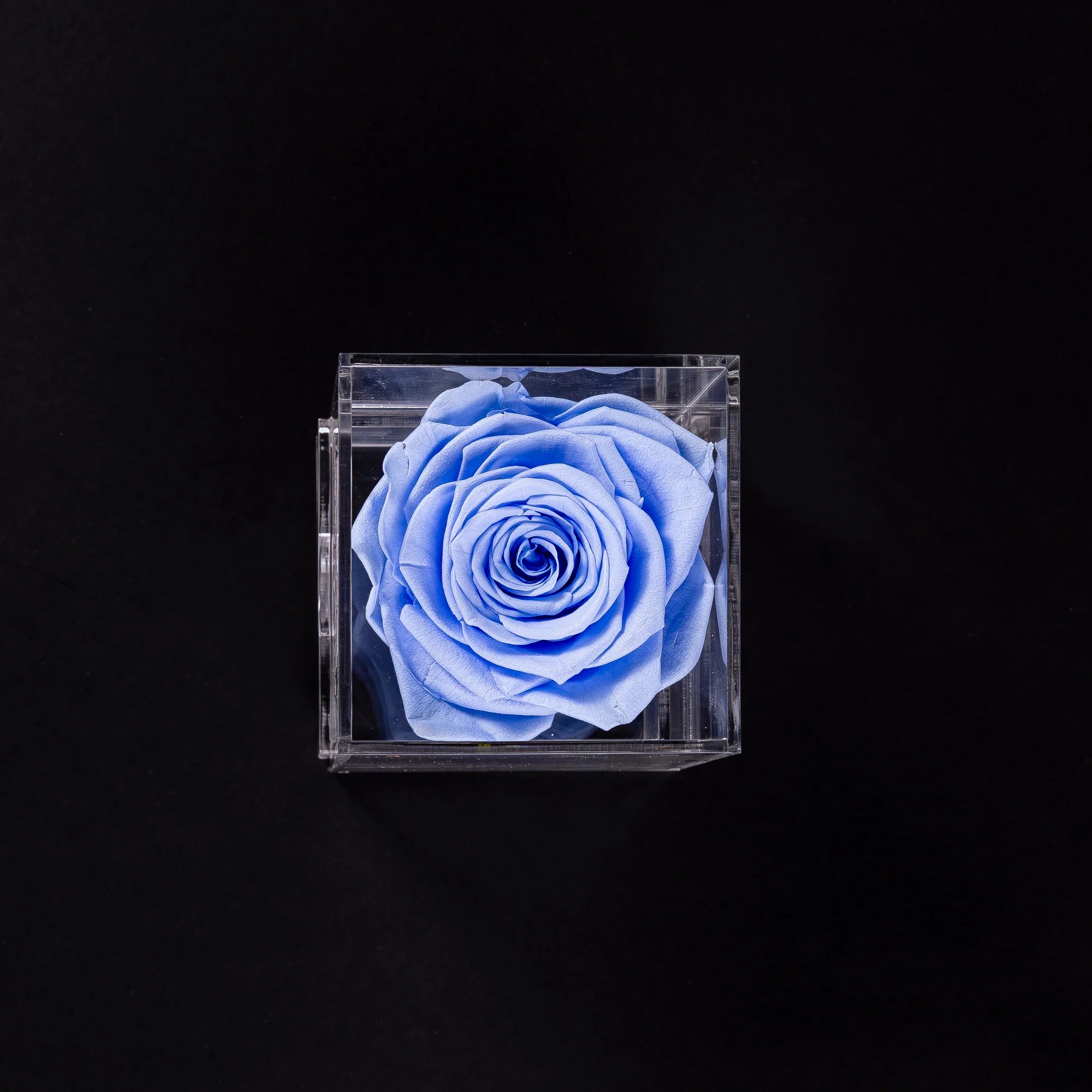 Acrylic Single Rose Box
