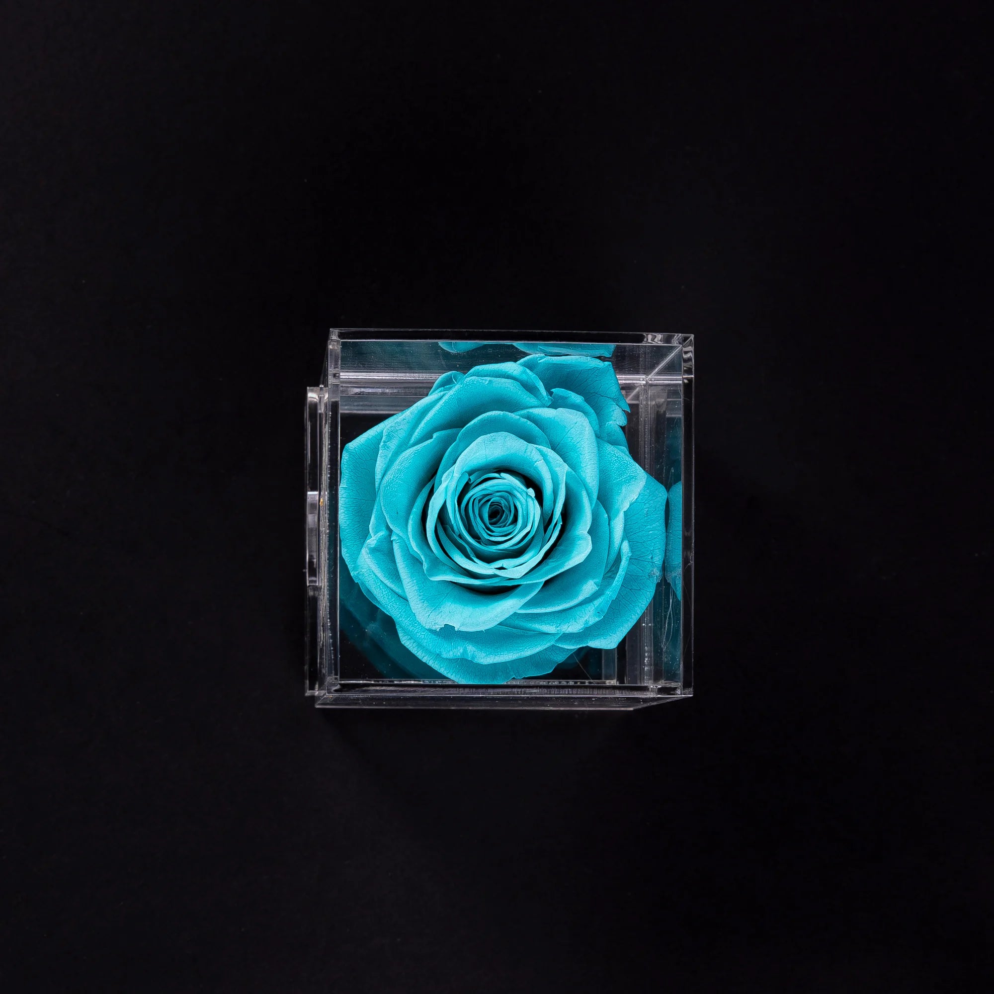 Acrylic Single Rose Box