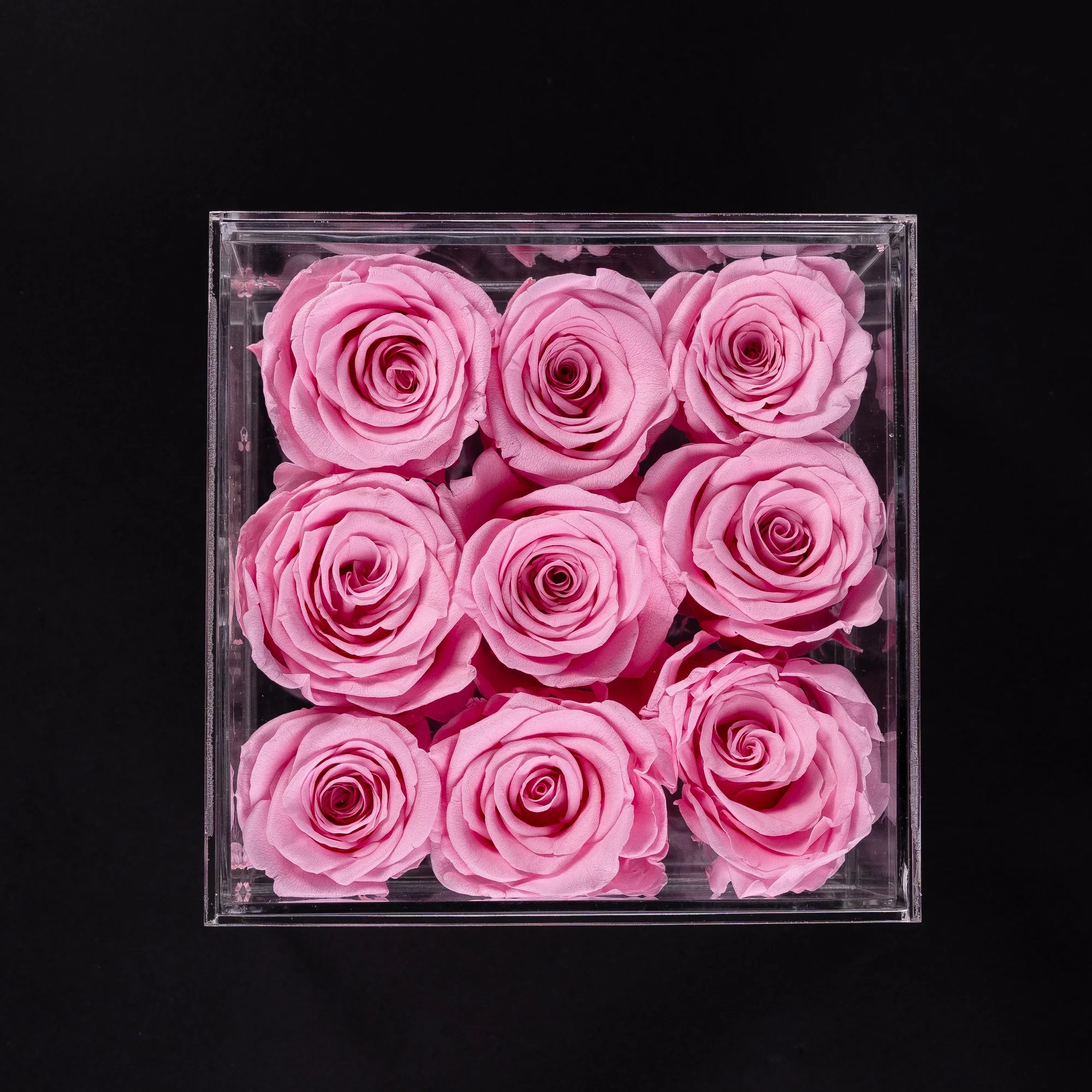 Acrylic Rose Box - 9 Roses