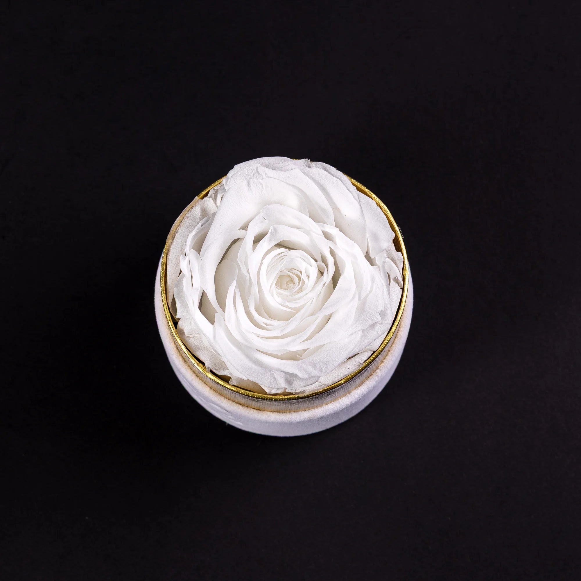 Eternal Roses - Petit Round