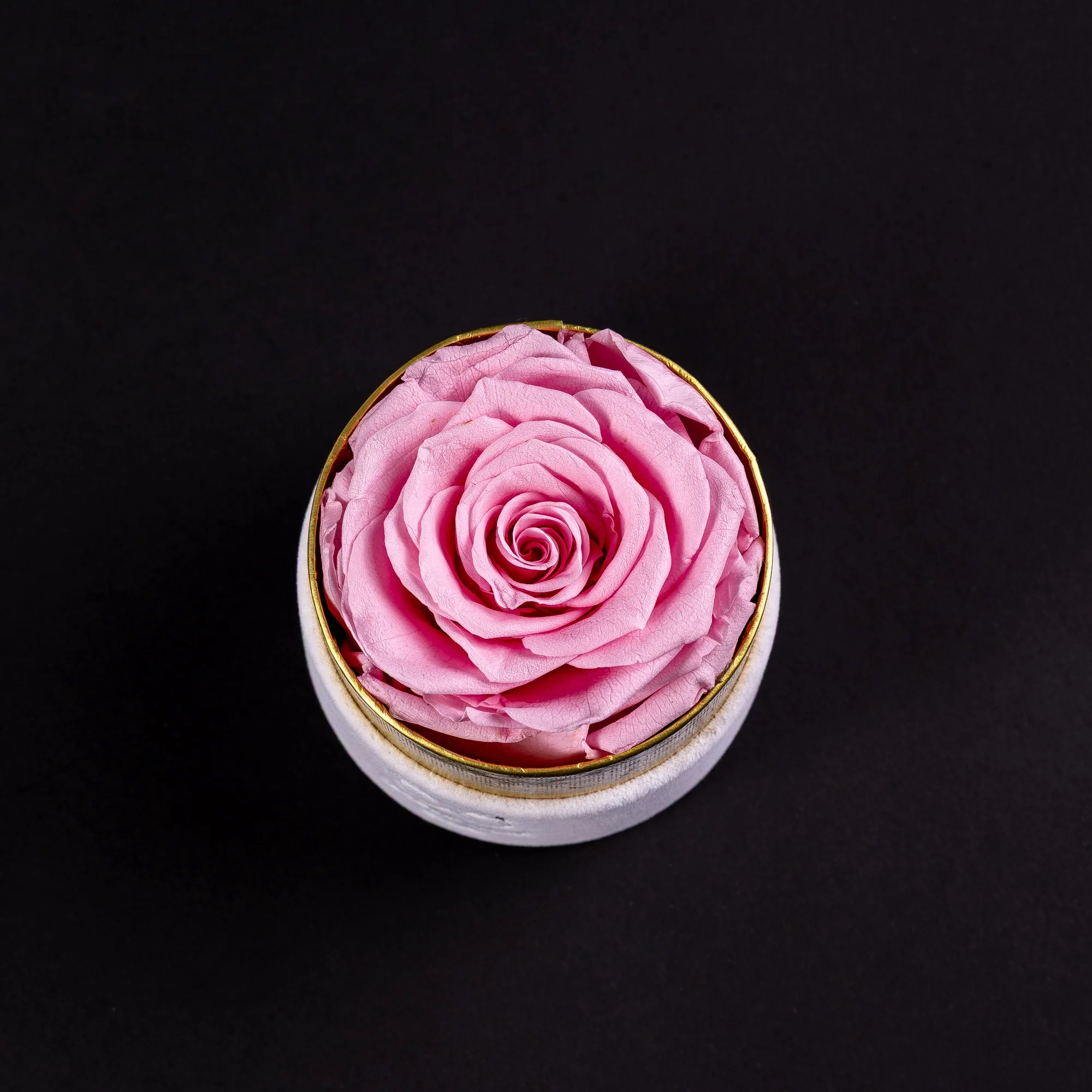 Eternal Roses - Petit Round