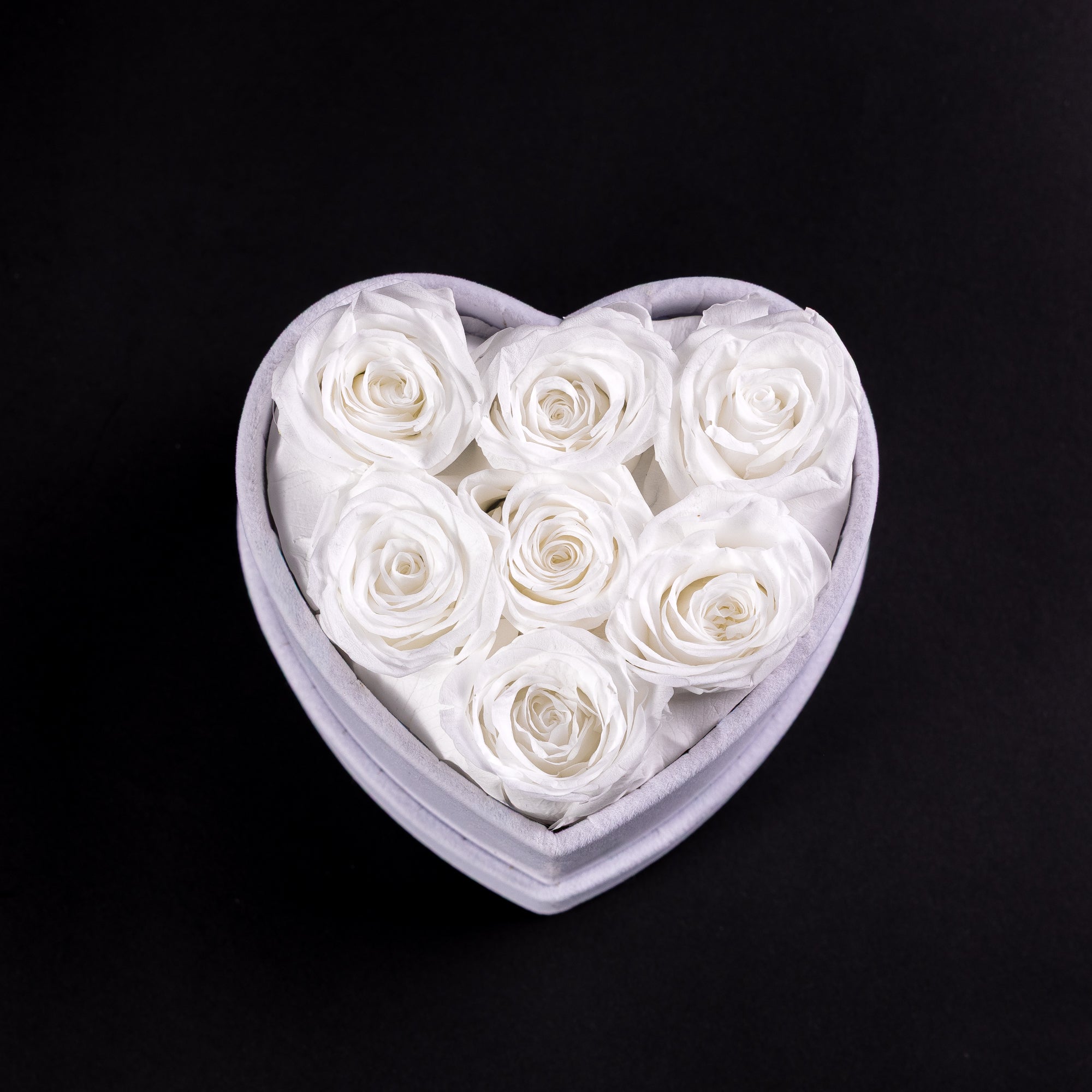 Eternal Roses - Petit Heart