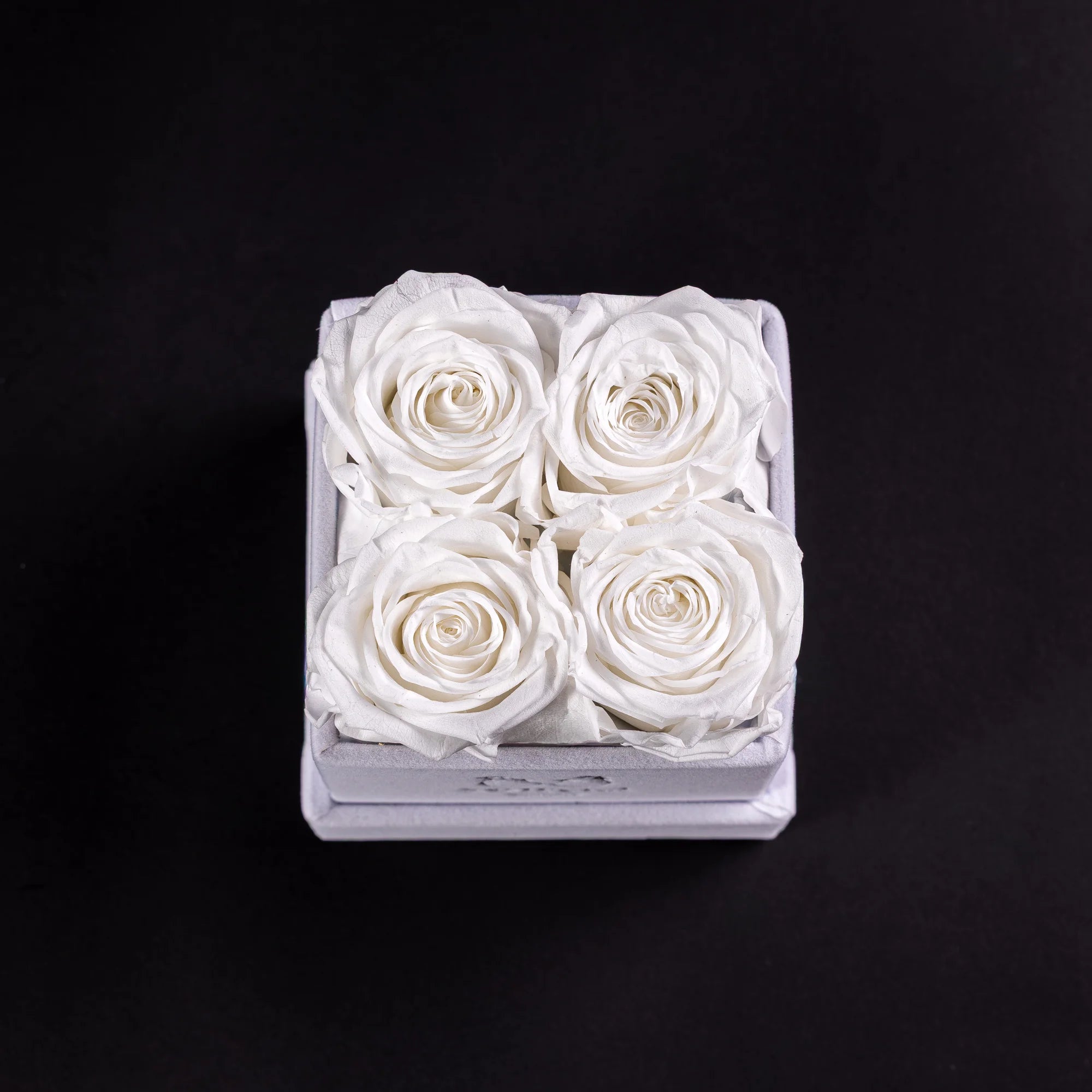 Eternal Roses - Petit Square
