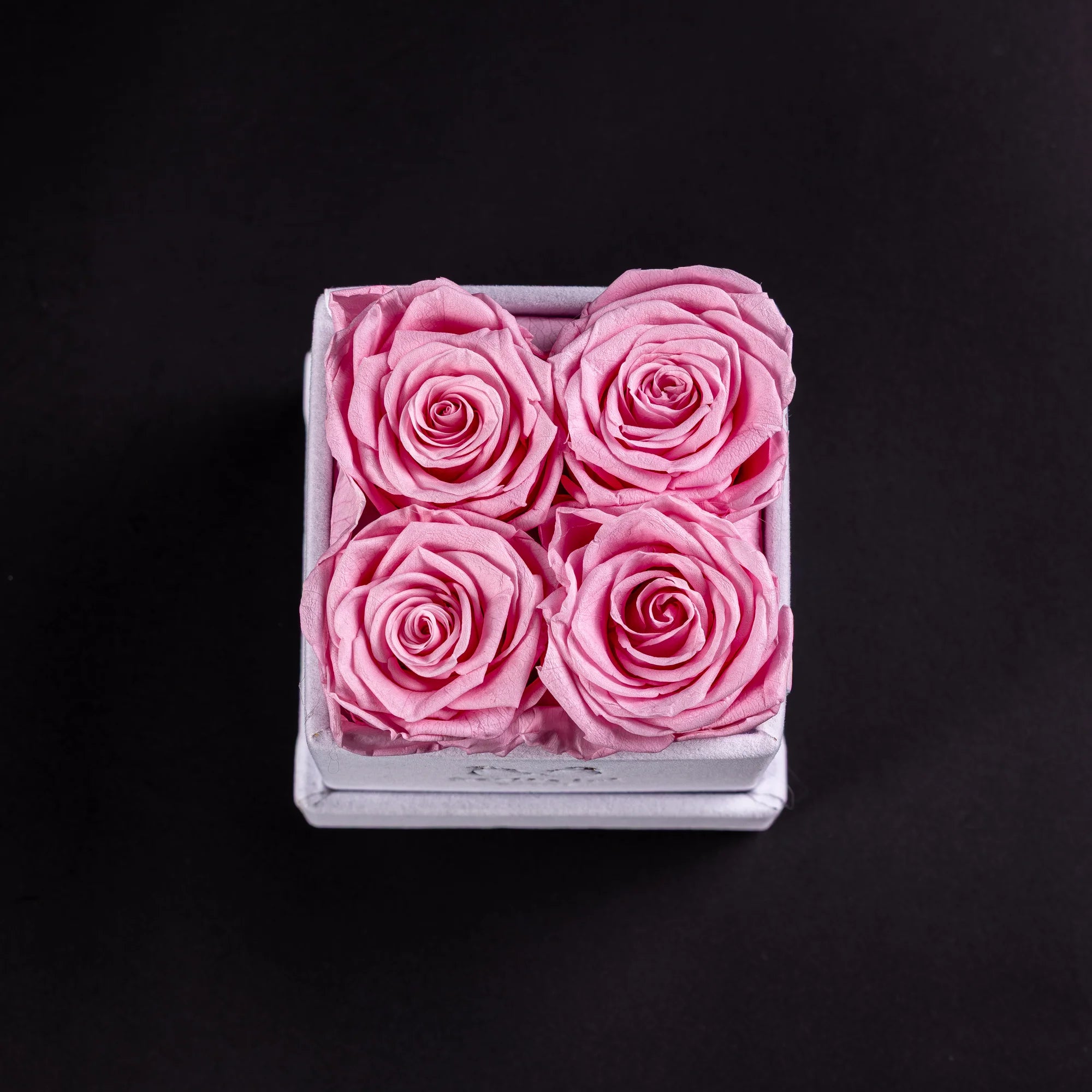 Eternal Roses - Petit Square