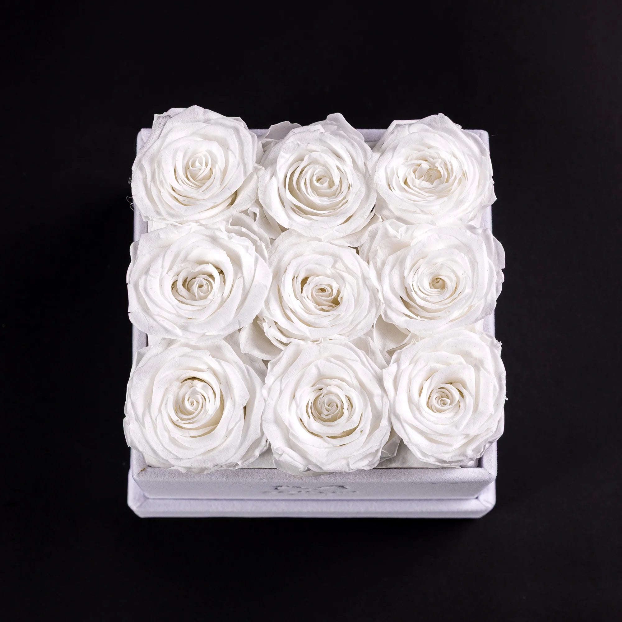 Eternal Roses - Small Square