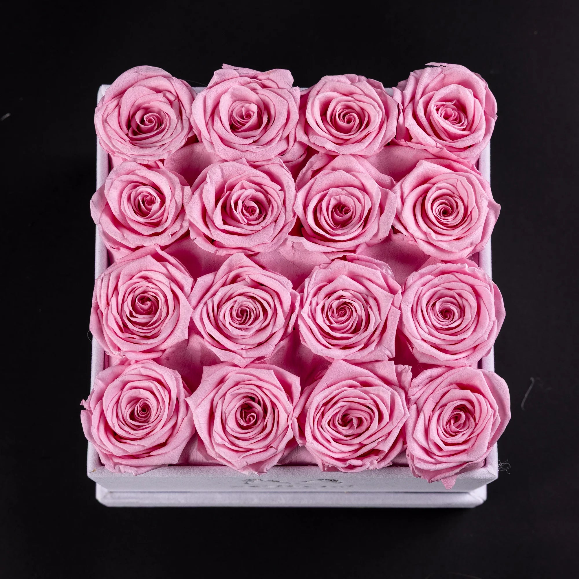 Eternal Roses -  Medium Square