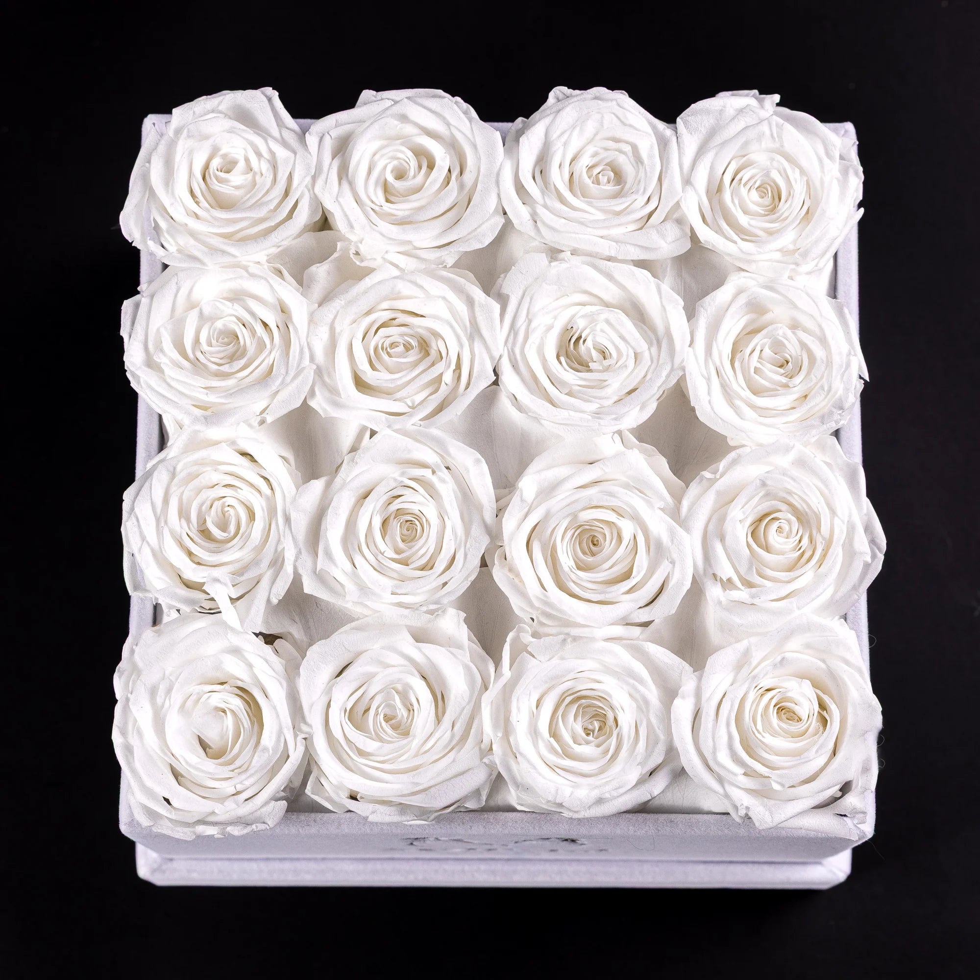 Eternal Roses -  Medium Square