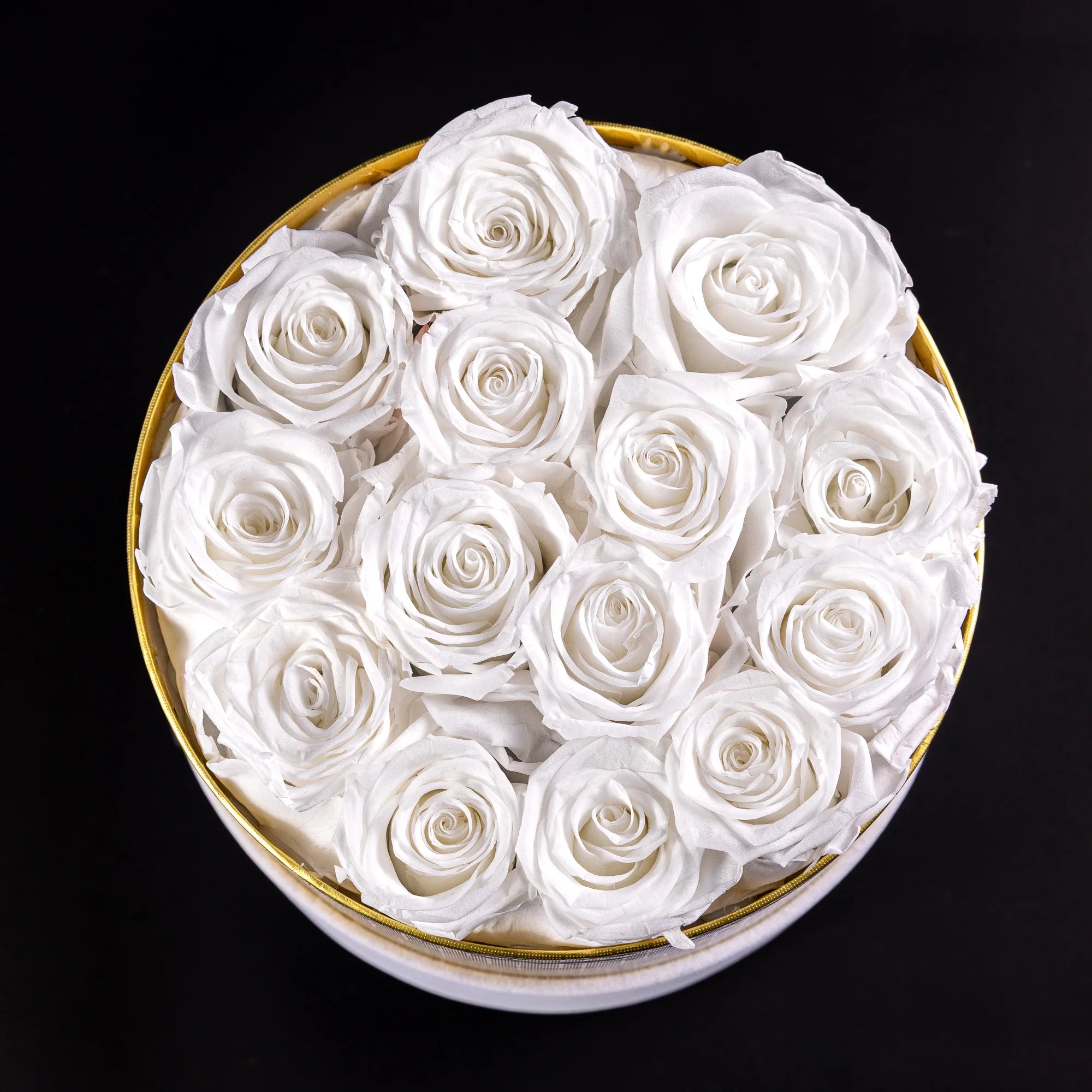 Eternal Roses -  Large Round