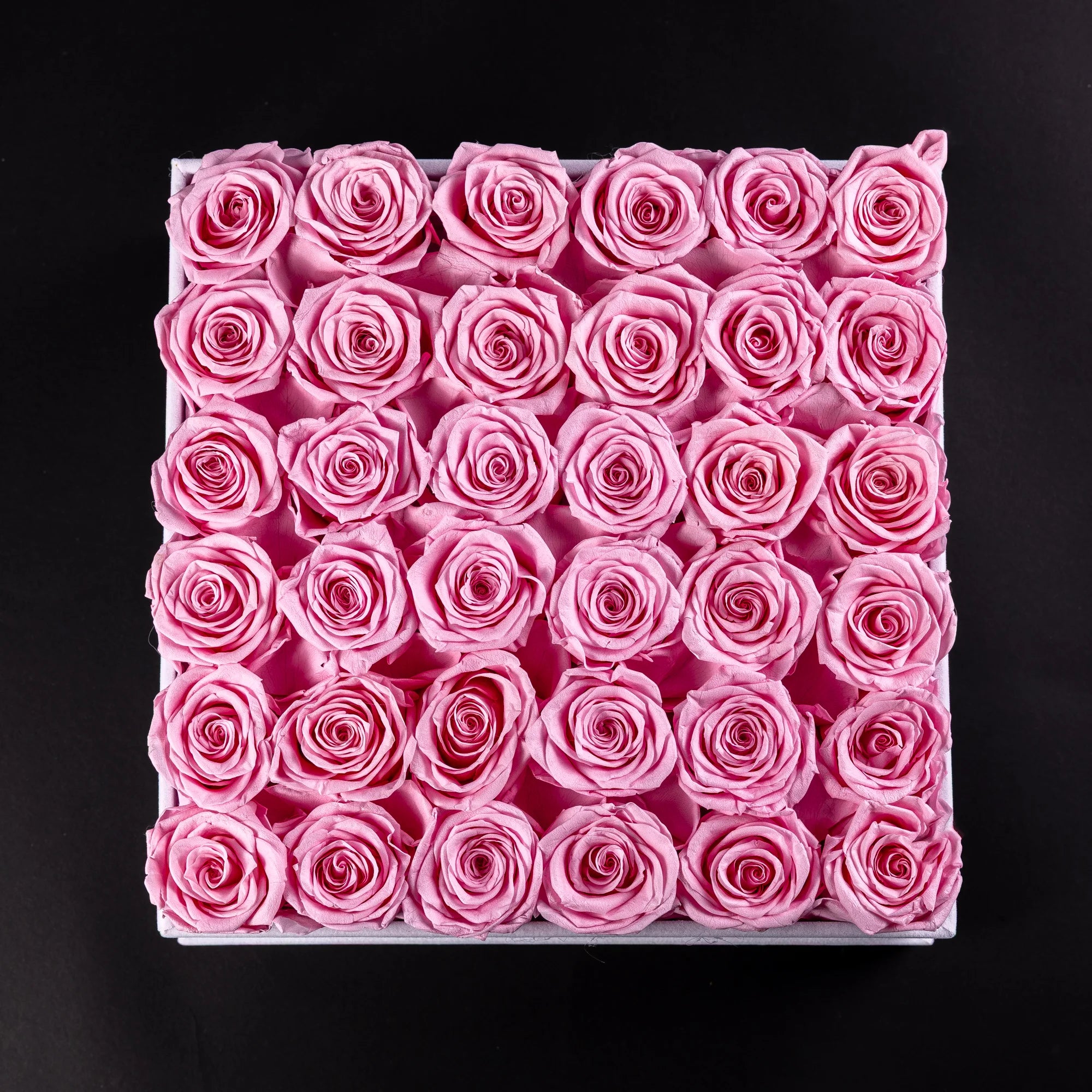 Eternal Roses - Extra Large Square