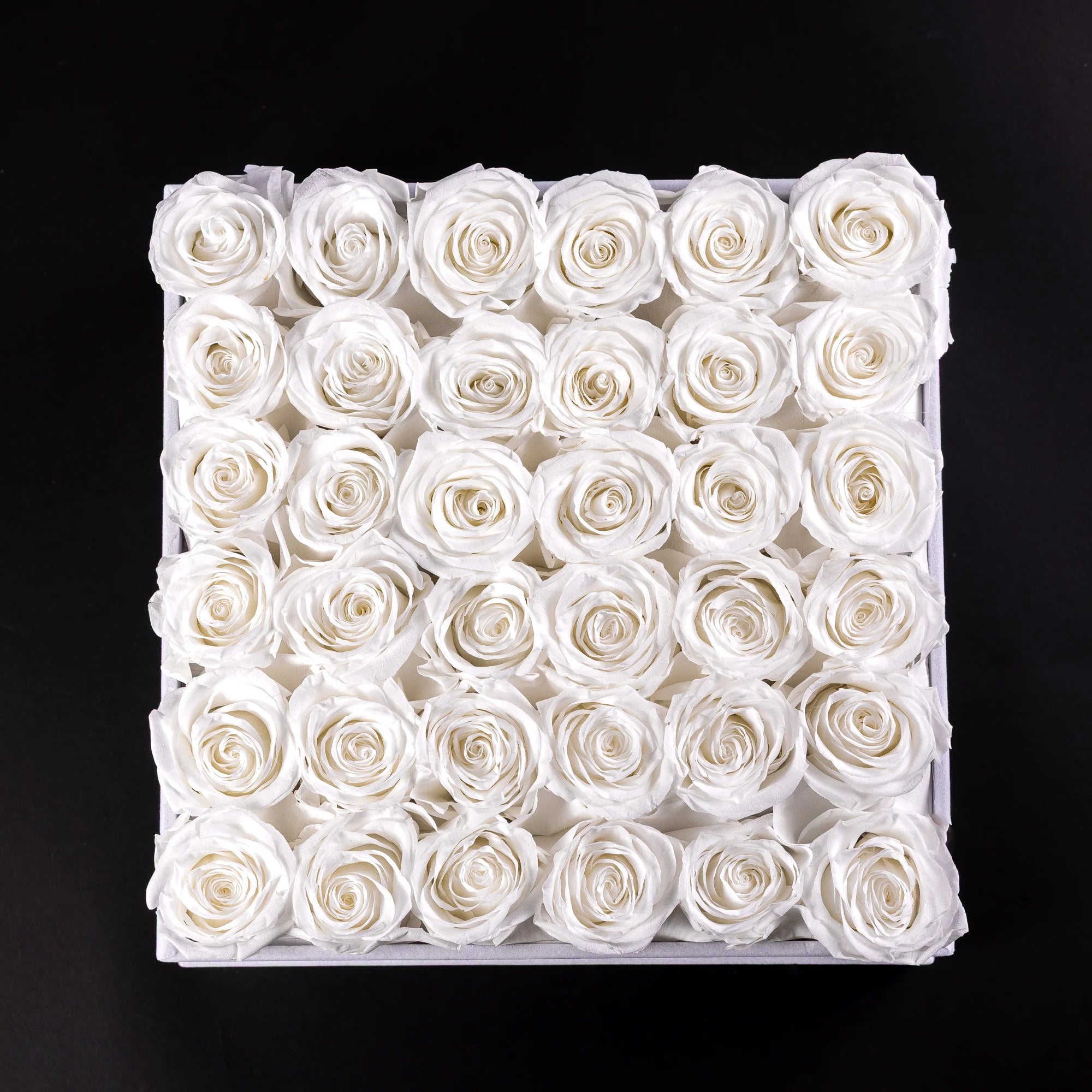 Eternal Roses - Extra Large Square