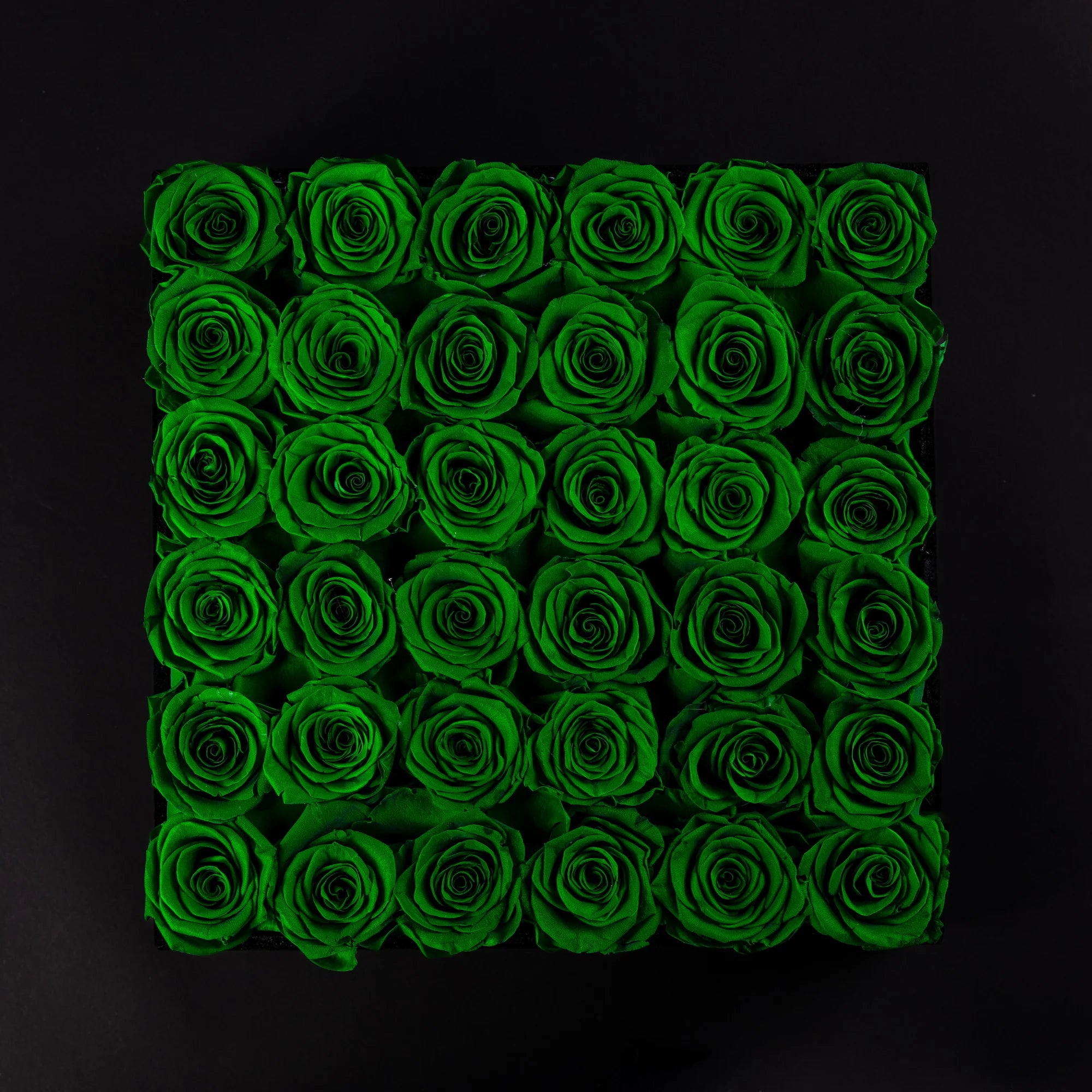 Eternal Roses - Extra Large Square