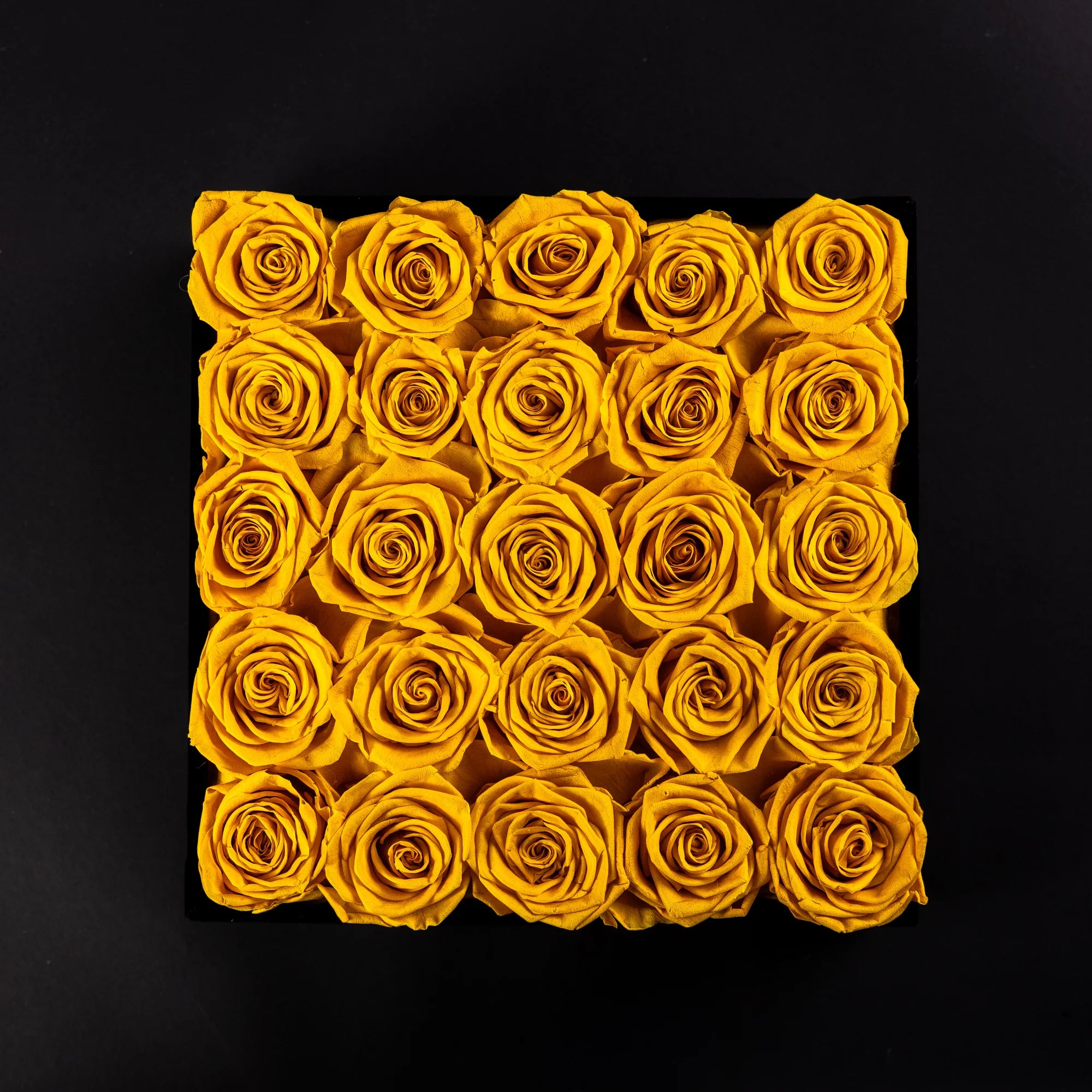 Eternal Roses - Large Square