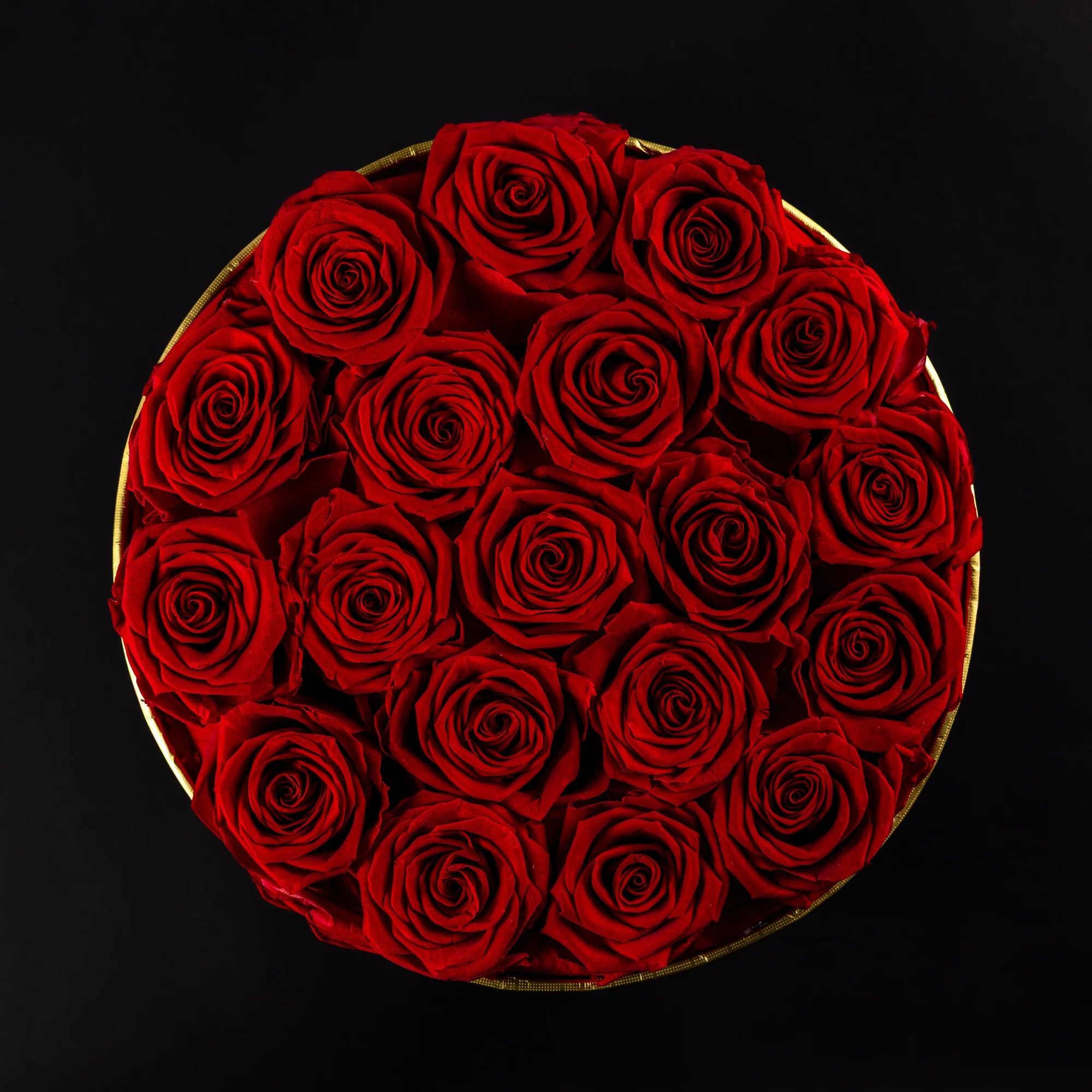 Eternal Roses -  Large Round