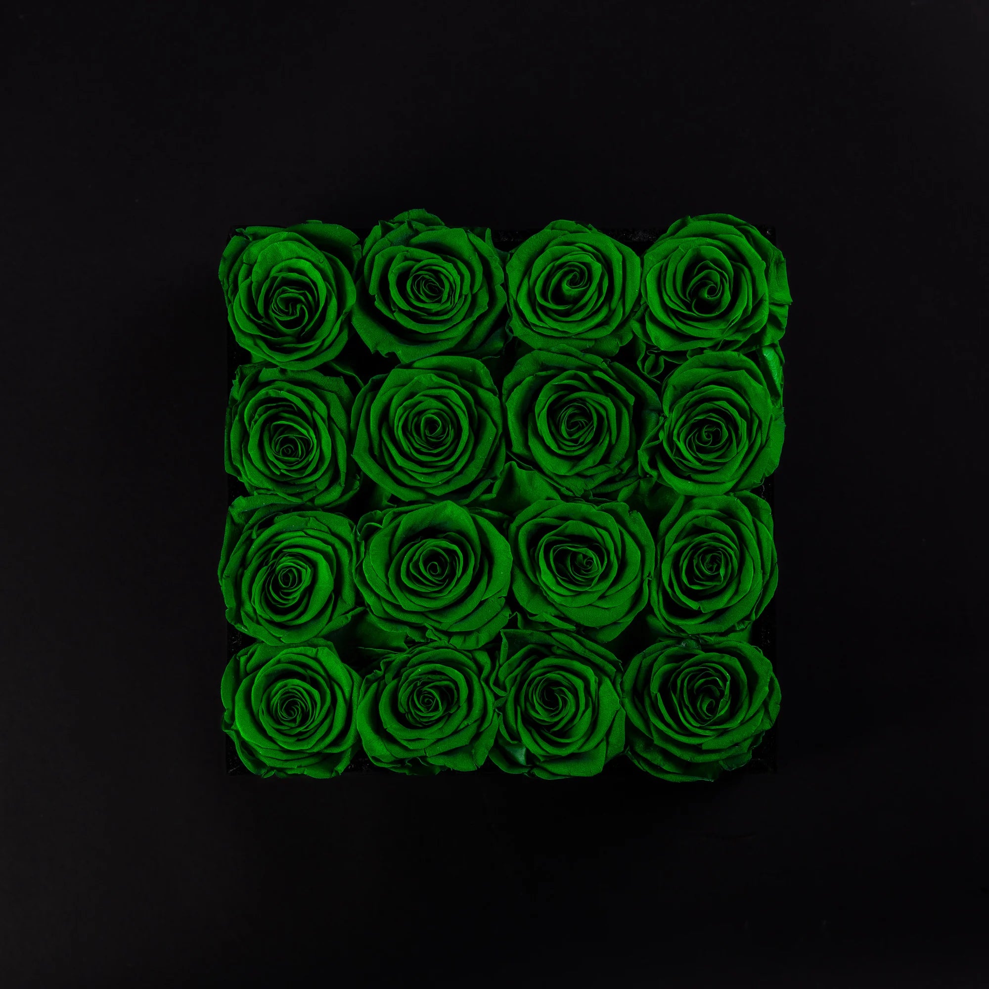 Eternal Roses -  Medium Square