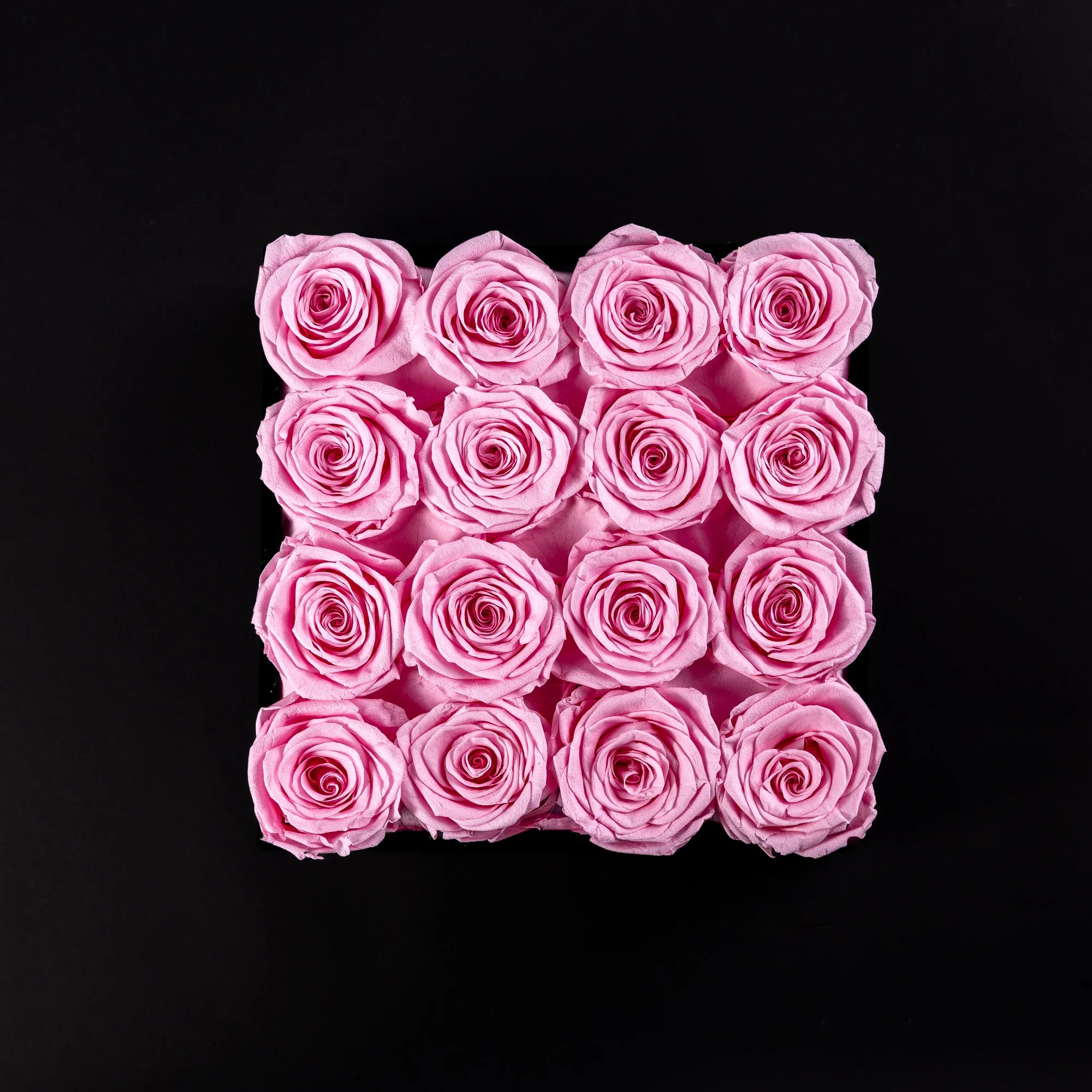 Eternal Roses -  Medium Square