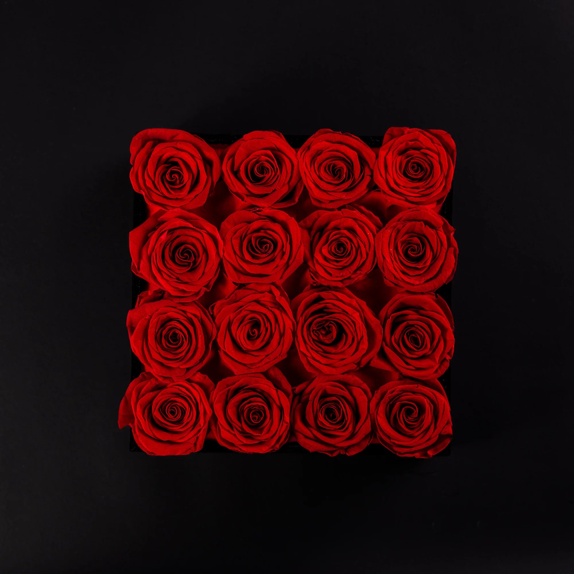 Eternal Roses -  Medium Square