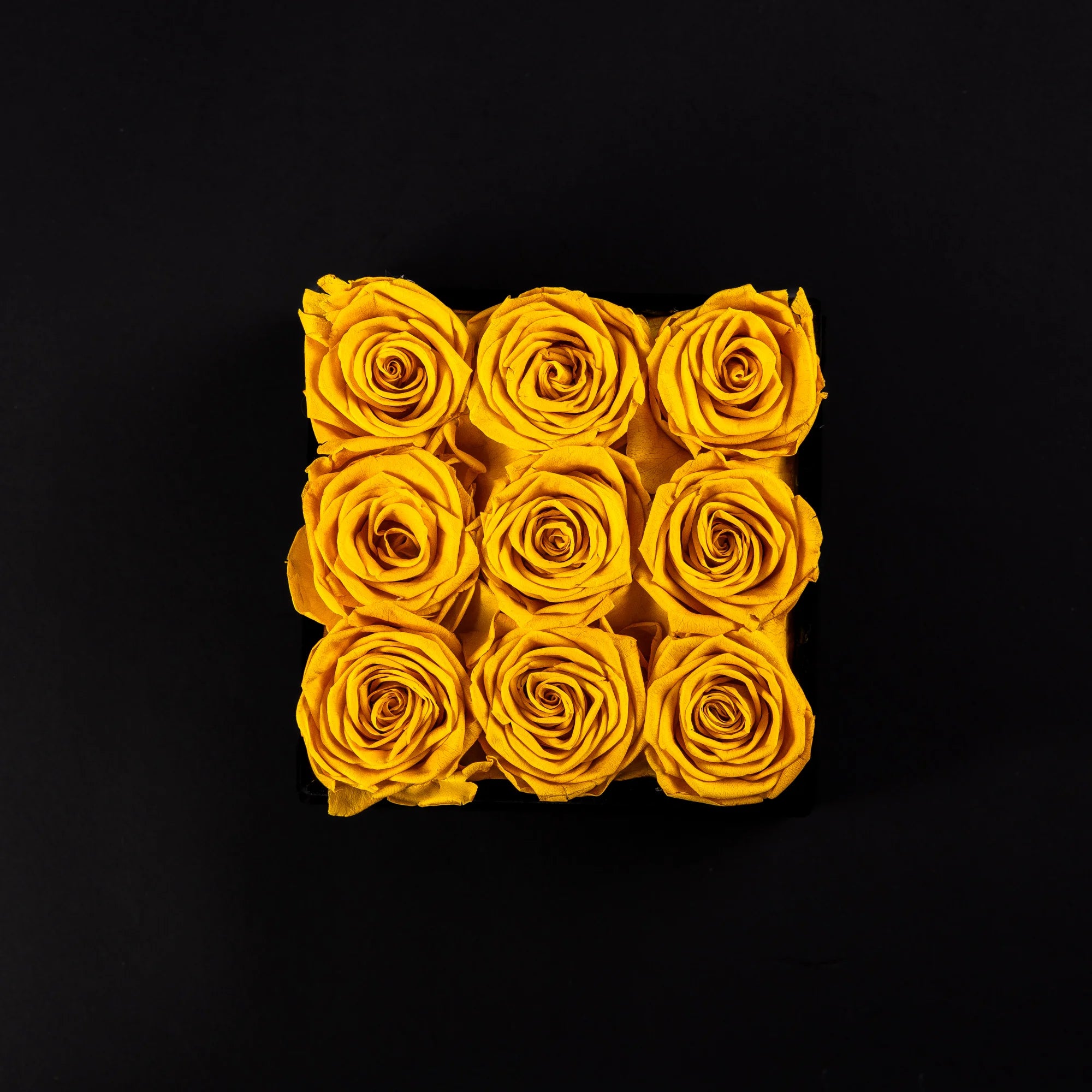 Eternal Roses - Small Square