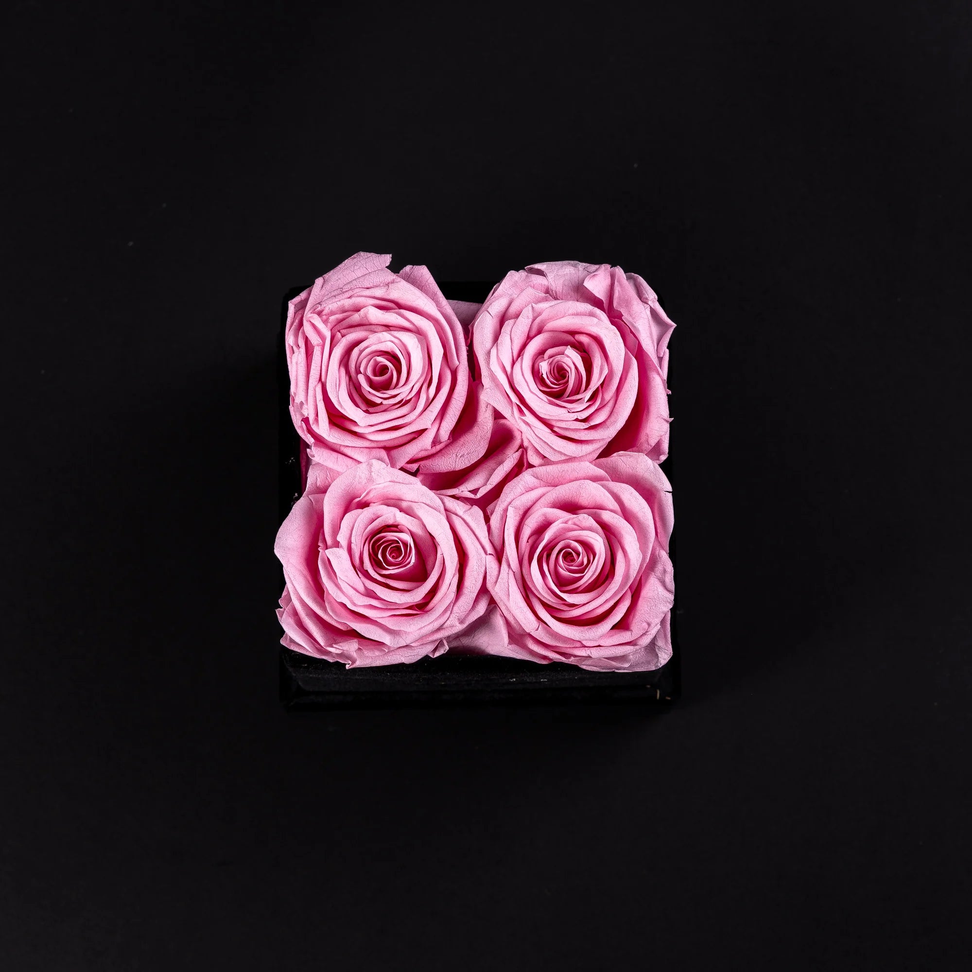 Eternal Roses - Petit Square